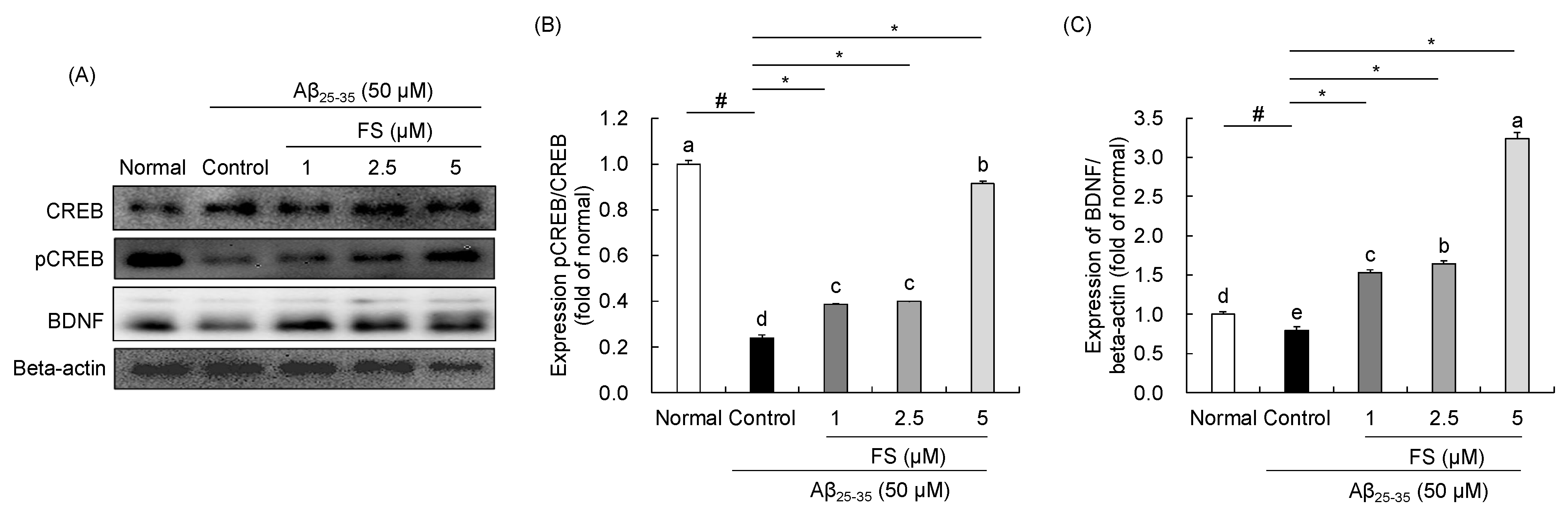 Molecules 28 01610 g007 Molecules 28 01610 g007