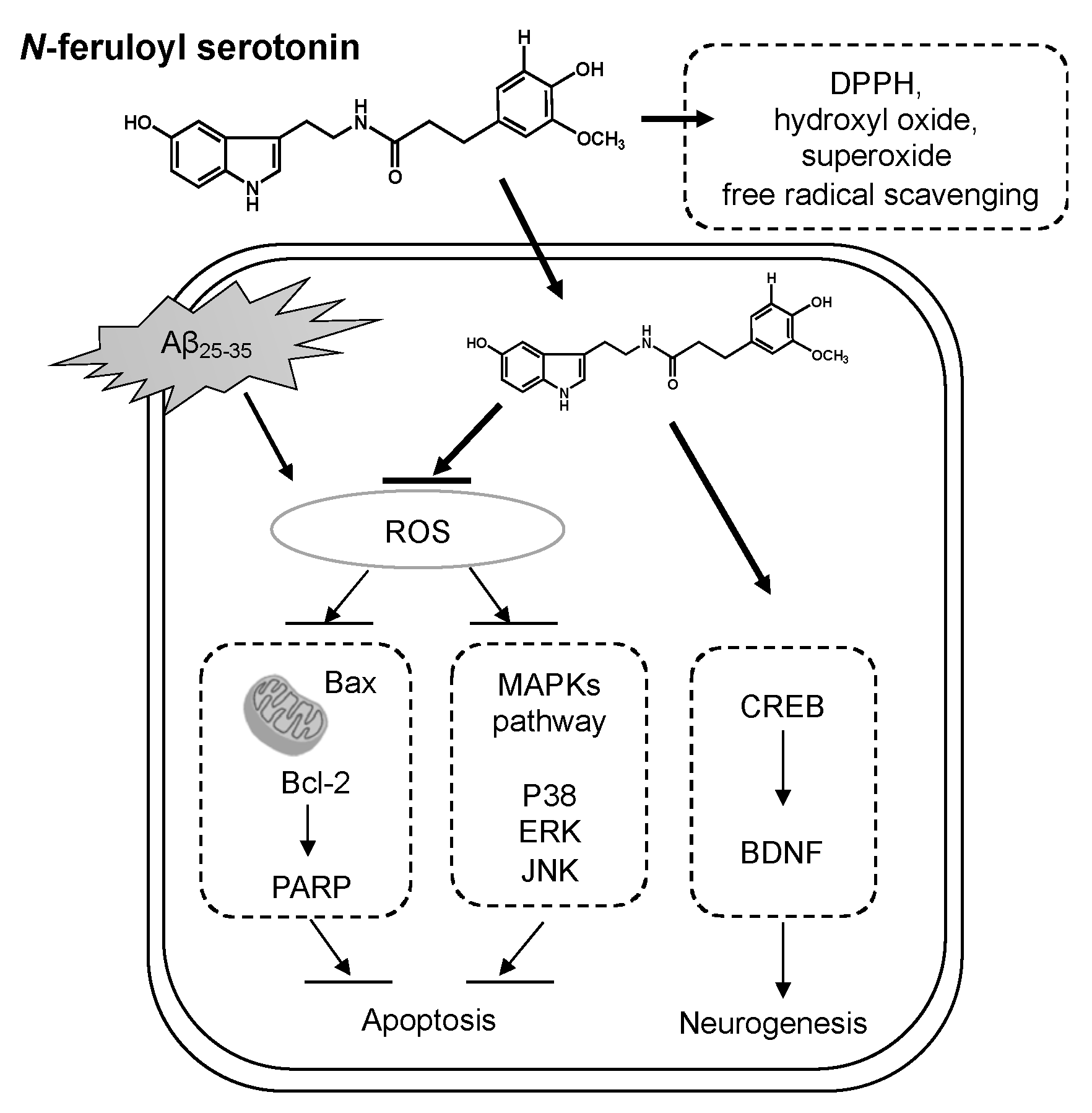 Molecules 28 01610 g008 Molecules 28 01610 g008