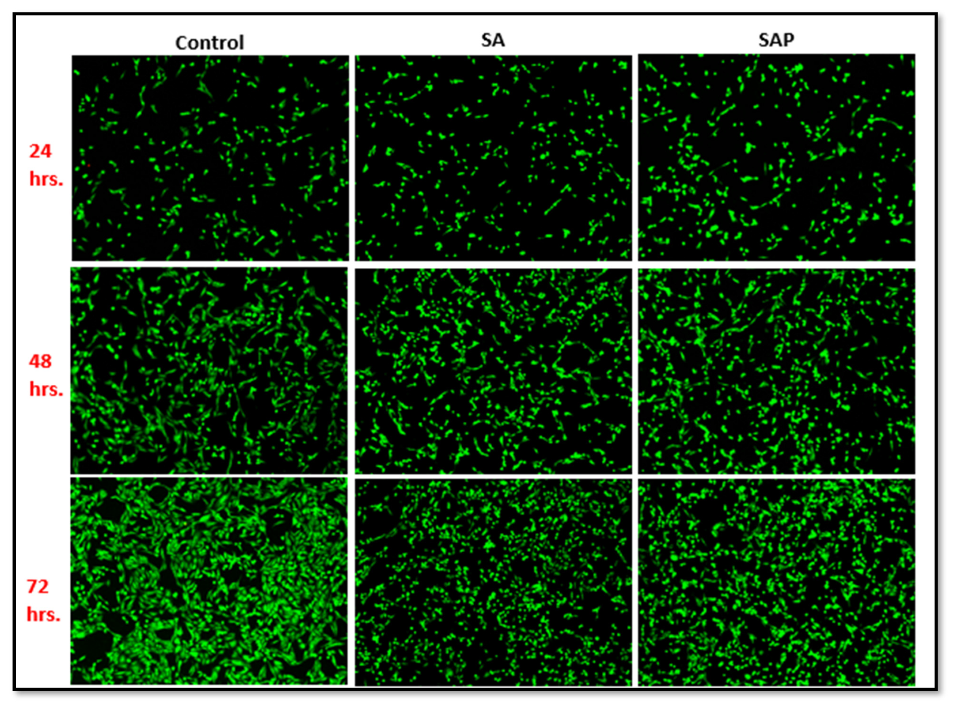 Molecules 28 01612 g007