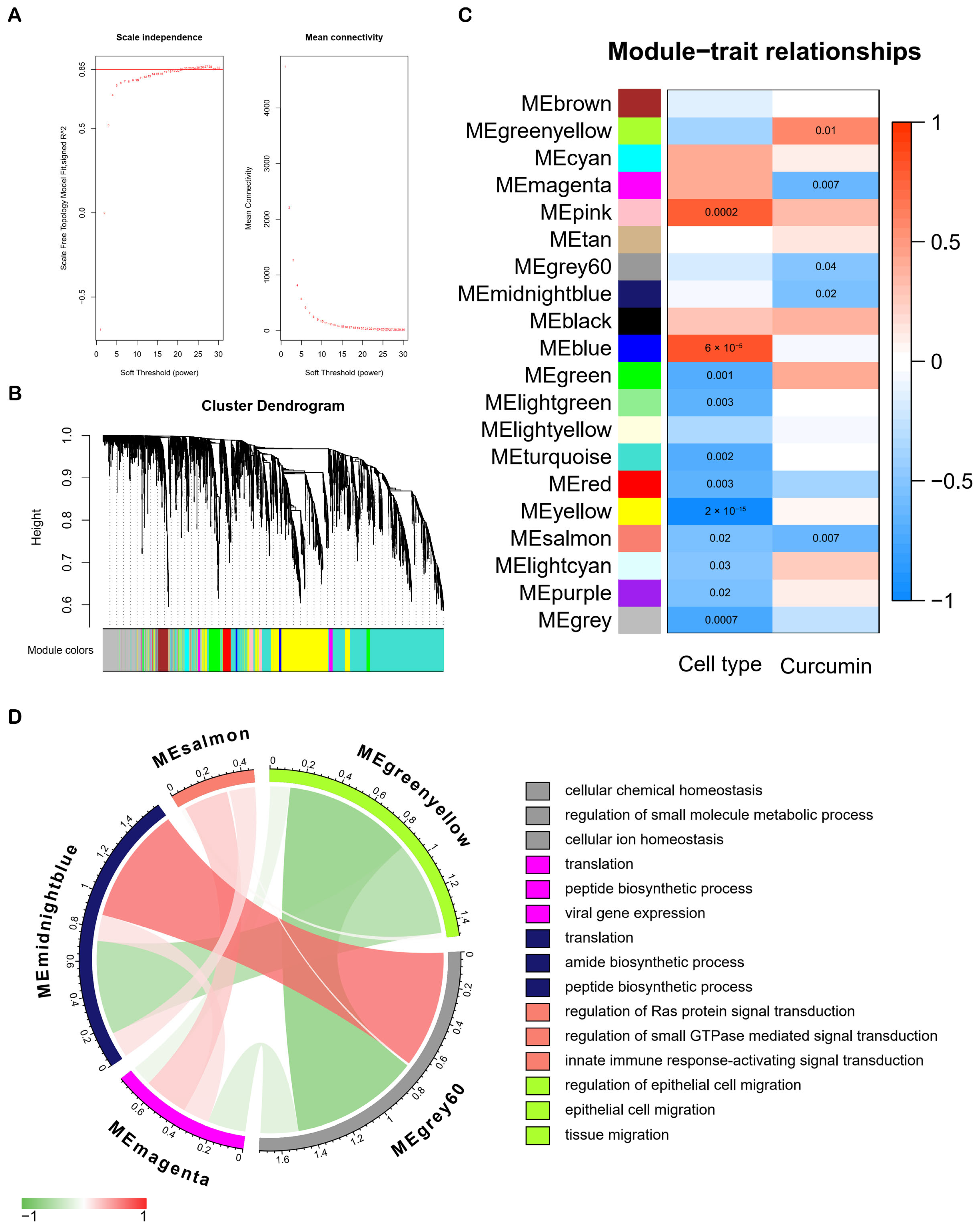 Molecules 28 01623 g003 Molecules 28 01623 g003