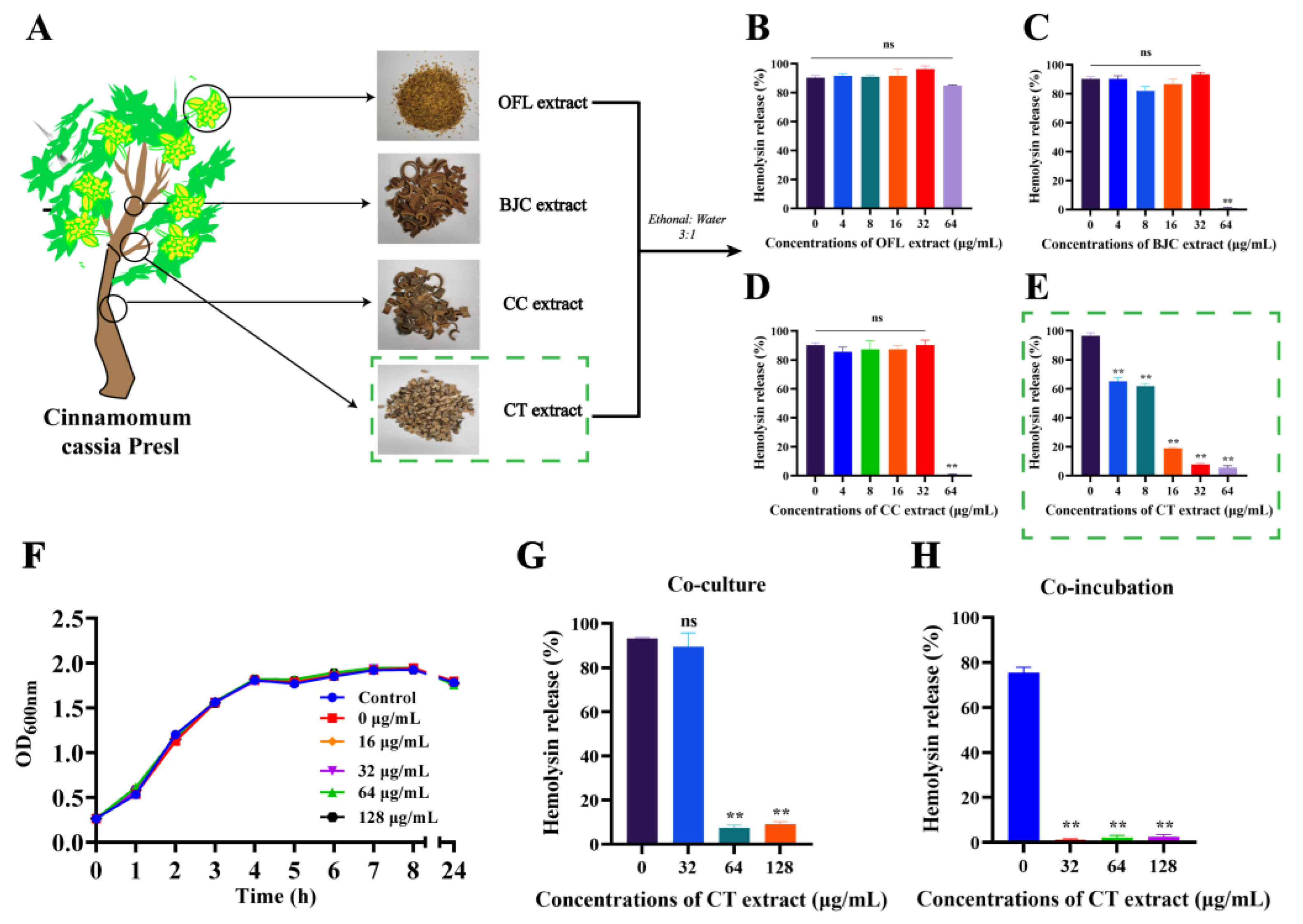 Molecules 28 01625 g001 Molecules 28 01625 g001
