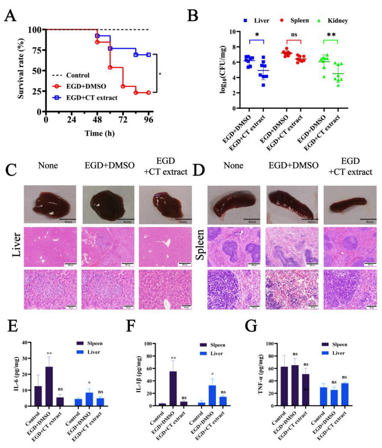 Molecules 28 01625 g006 Molecules 28 01625 g006