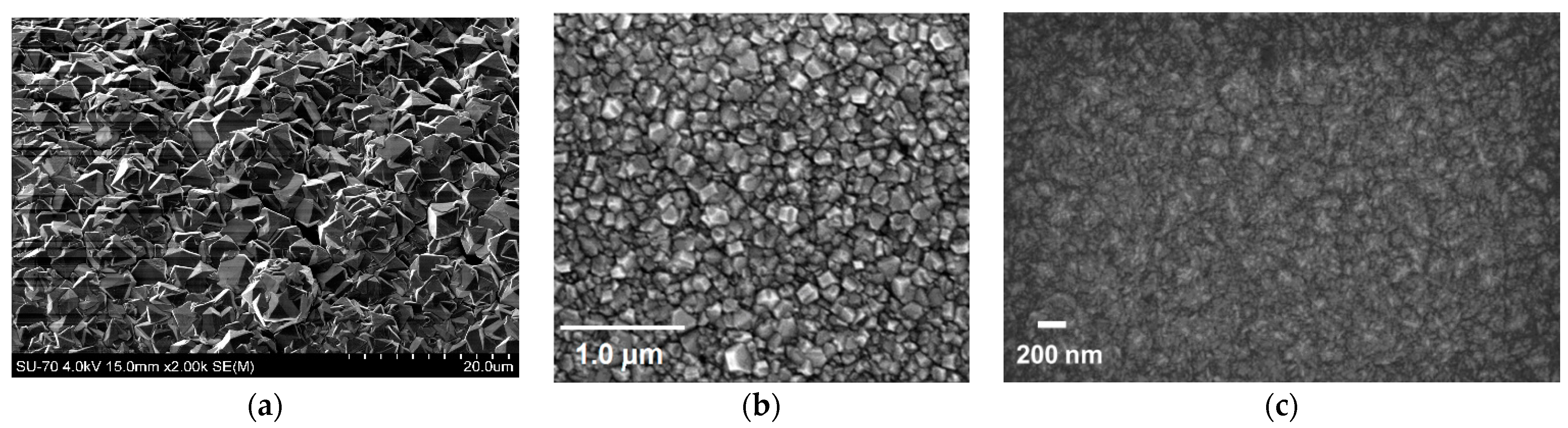 Molecules 28 01626 g002 Molecules 28 01626 g002