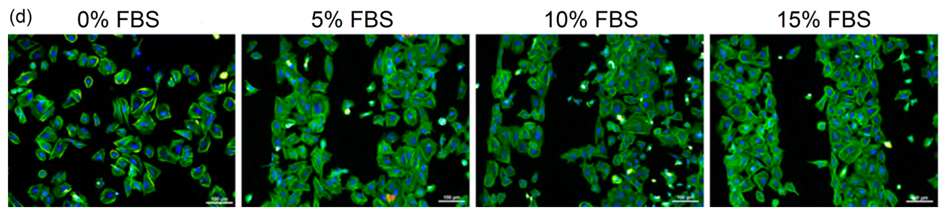 Molecules 28 01626 g003b Molecules 28 01626 g003b