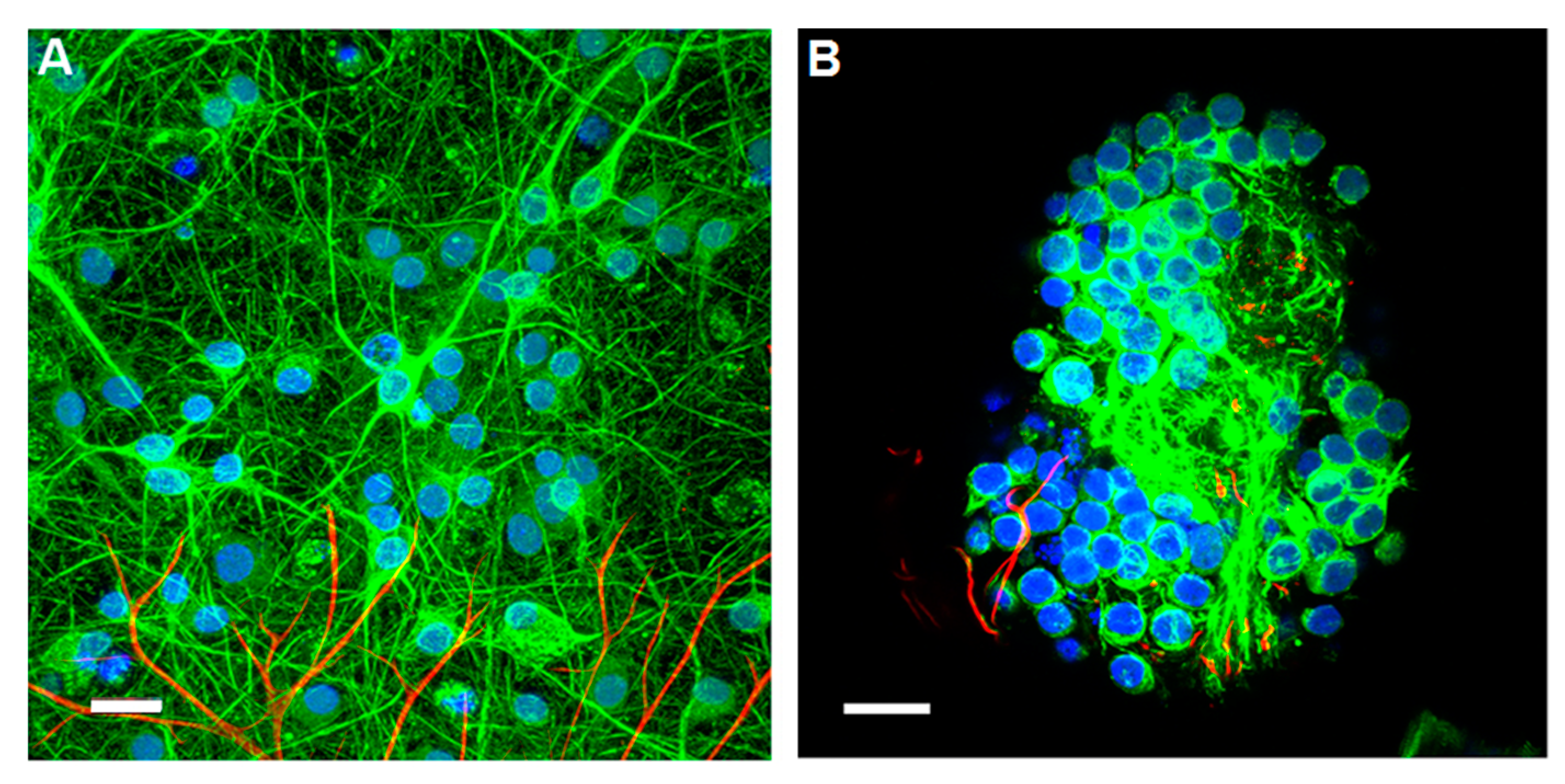Molecules 28 01626 g005 Molecules 28 01626 g005