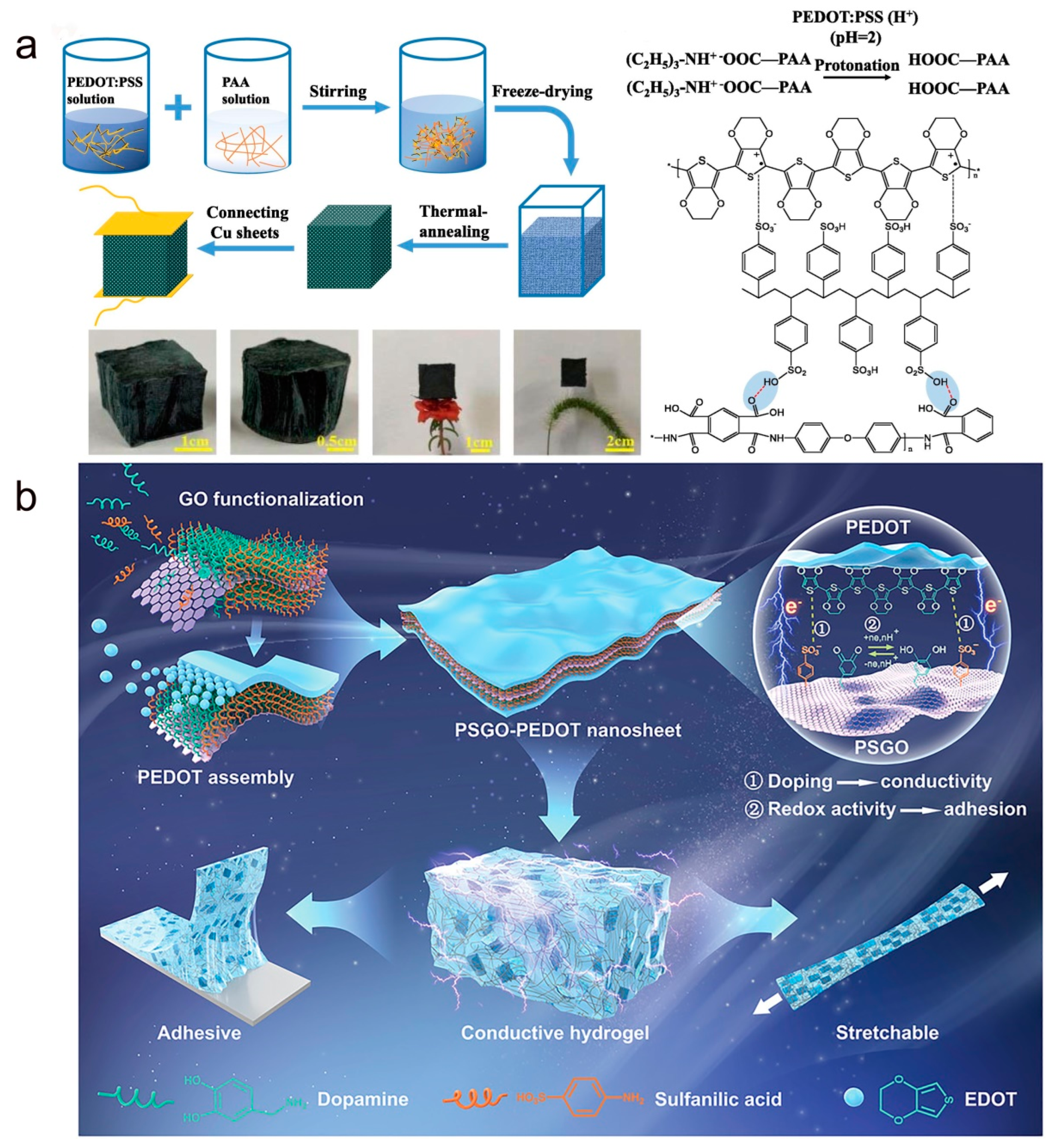 Molecules 28 01627 g006 Molecules 28 01627 g006