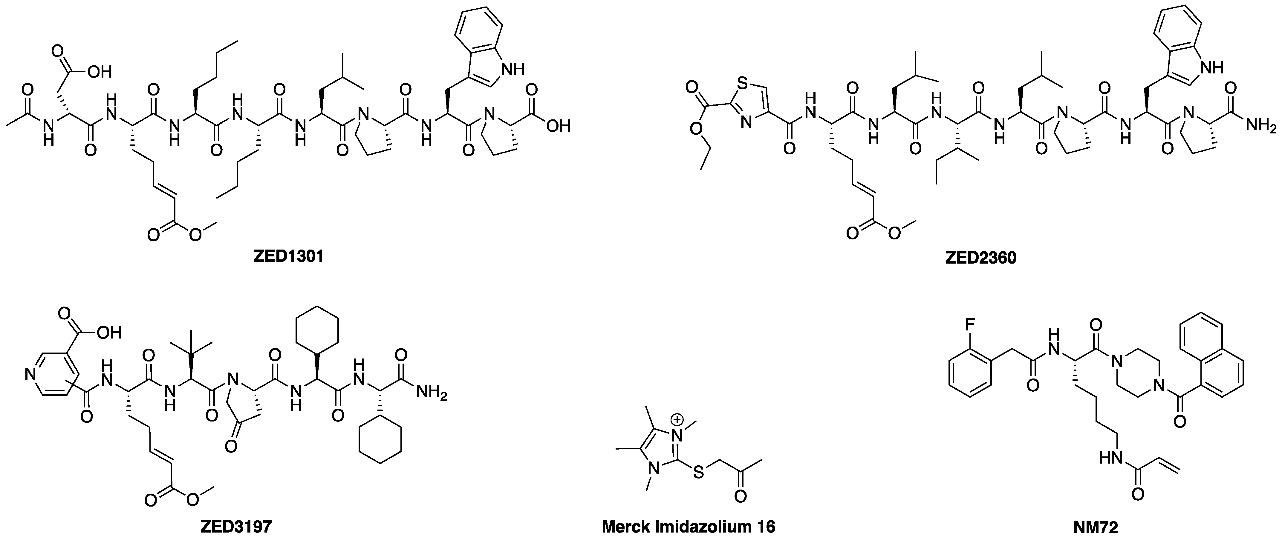 Molecules 28 01634 g001 Molecules 28 01634 g001