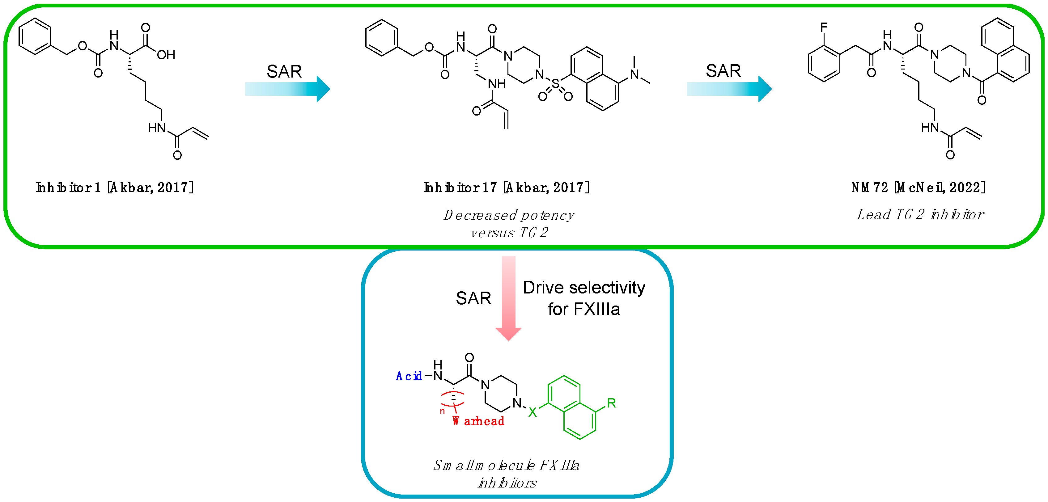 Molecules 28 01634 g003 Molecules 28 01634 g003
