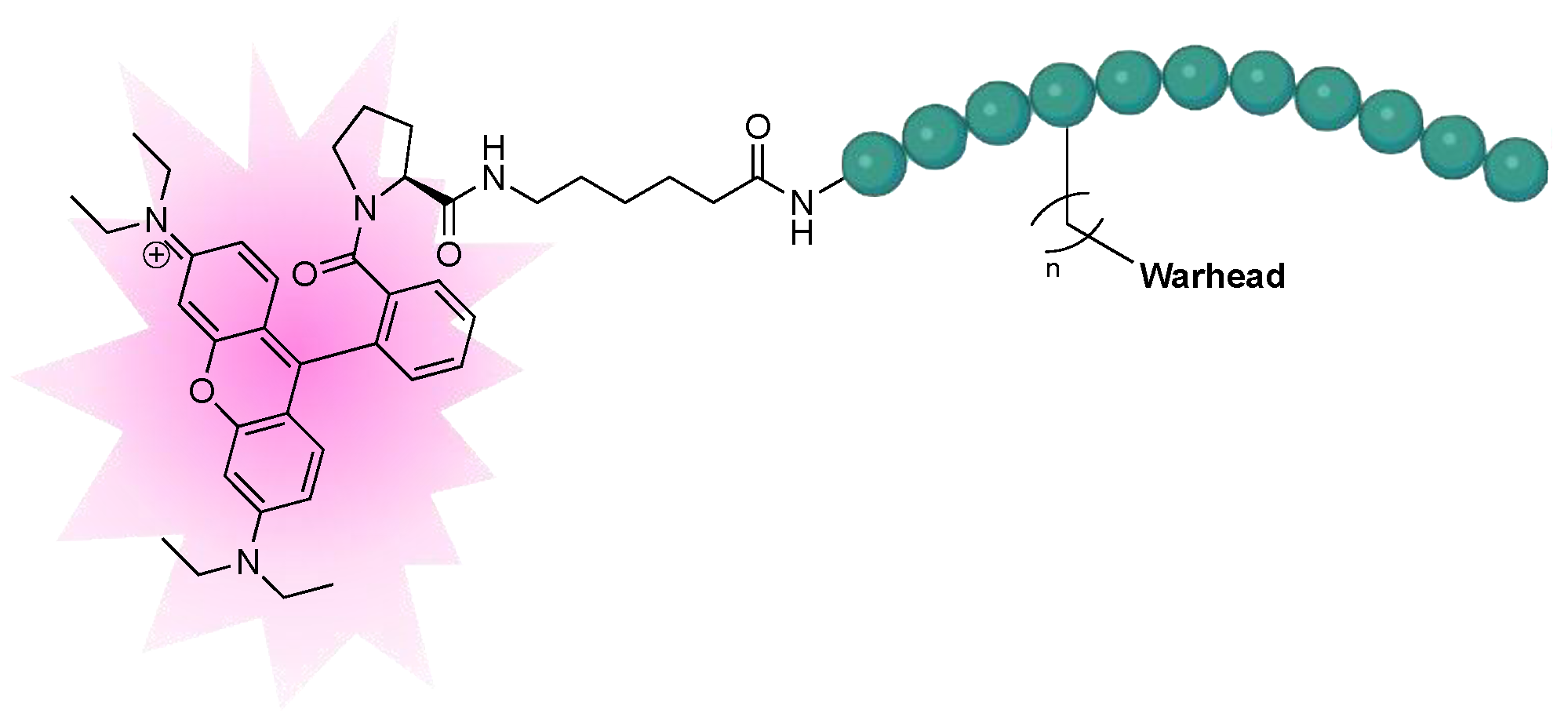 Molecules 28 01634 g004 Molecules 28 01634 g004
