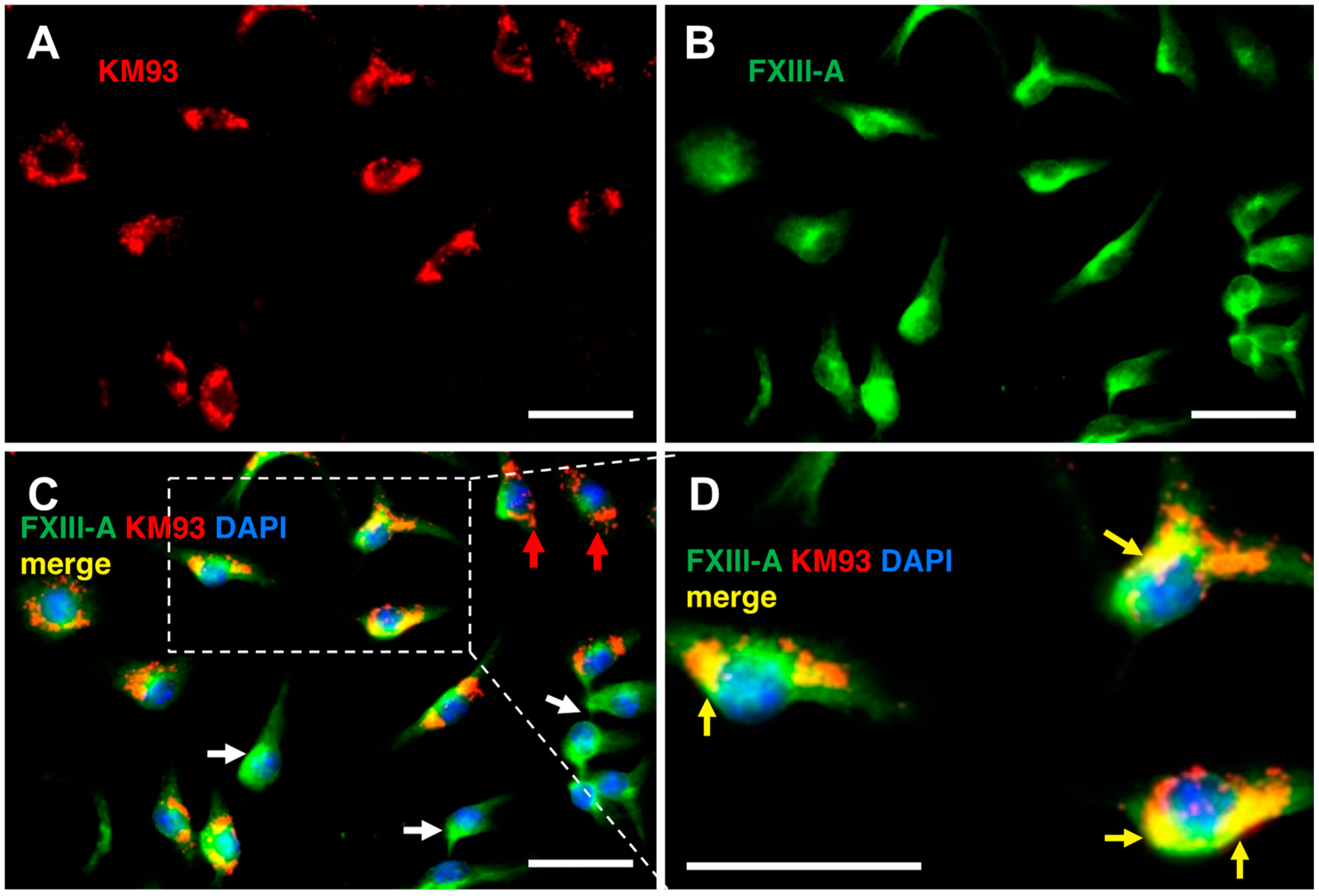 Molecules 28 01634 g007 Molecules 28 01634 g007