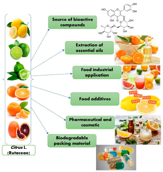 Molecules Free FullText Citrus Waste as Source of Bioactive