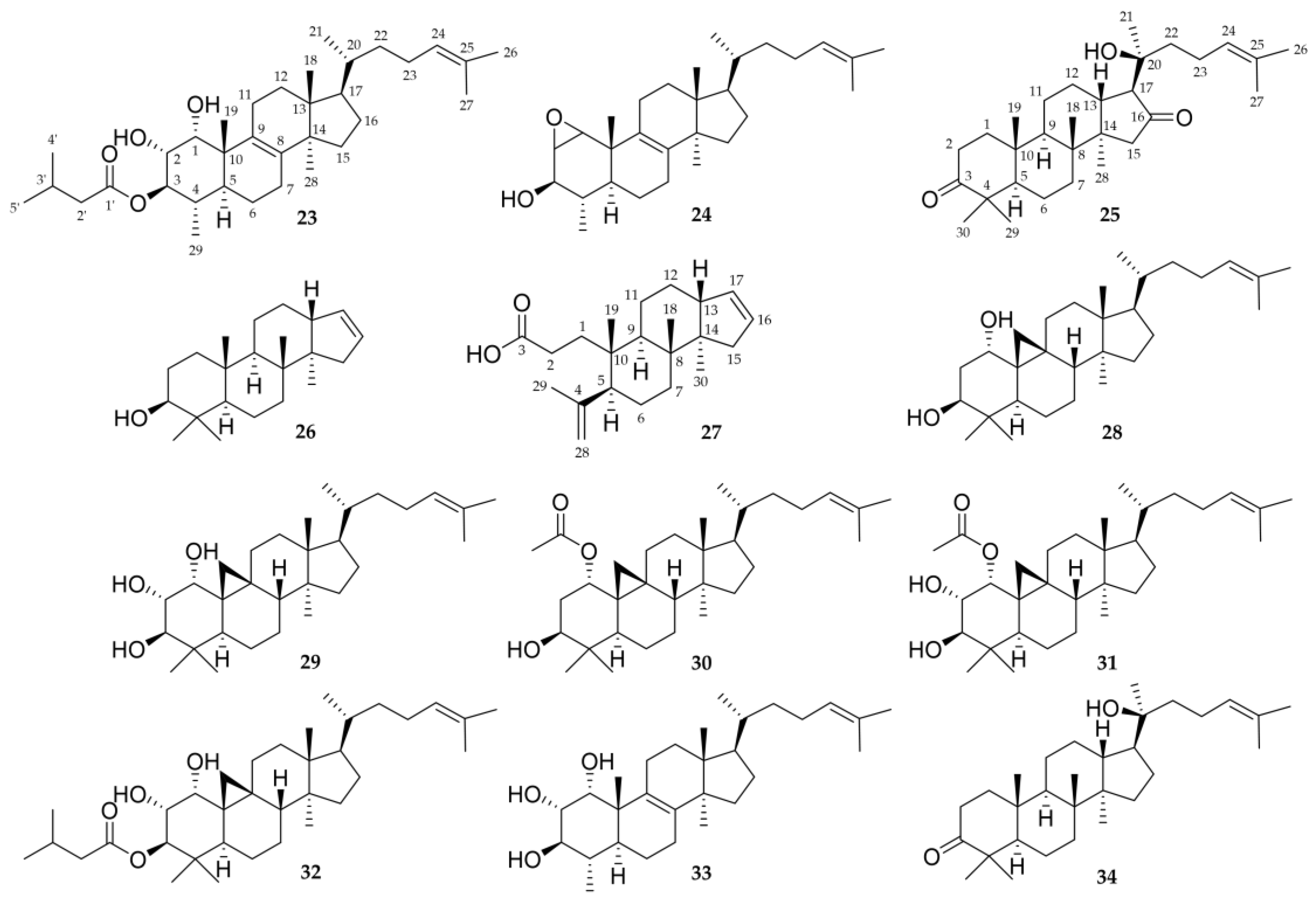 Molecules 28 01637 g009 Molecules 28 01637 g009