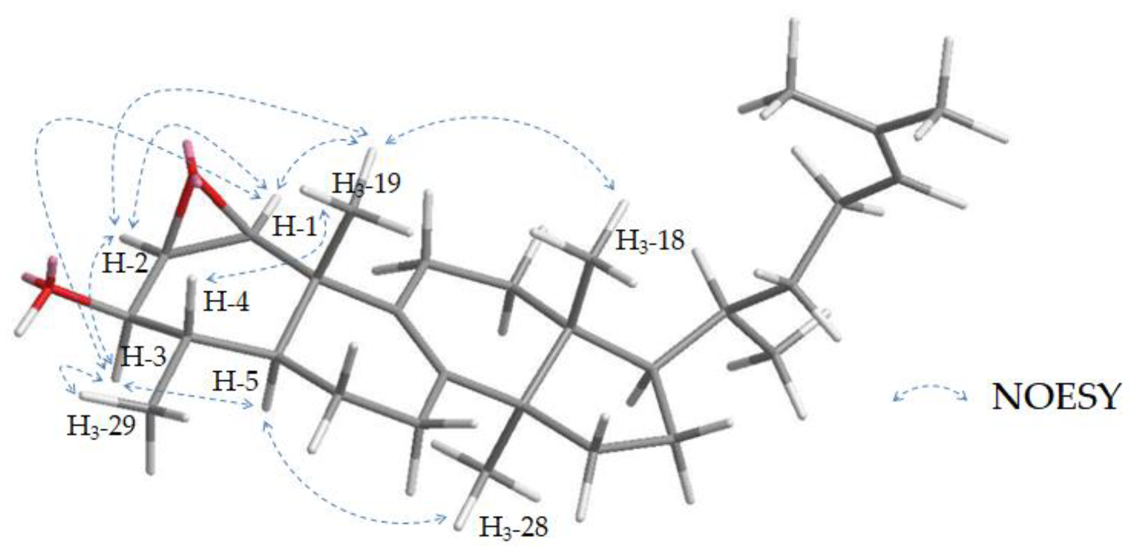 Molecules 28 01637 g011 Molecules 28 01637 g011