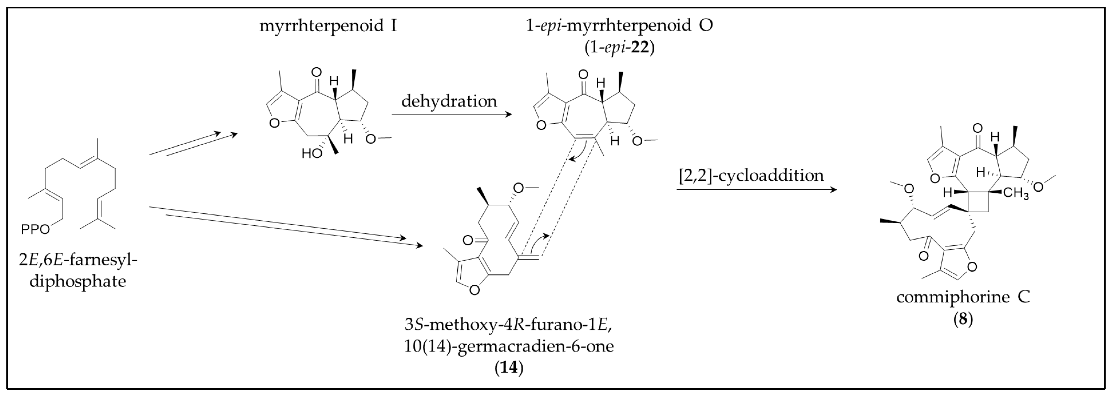 Molecules 28 01637 g014 Molecules 28 01637 g014