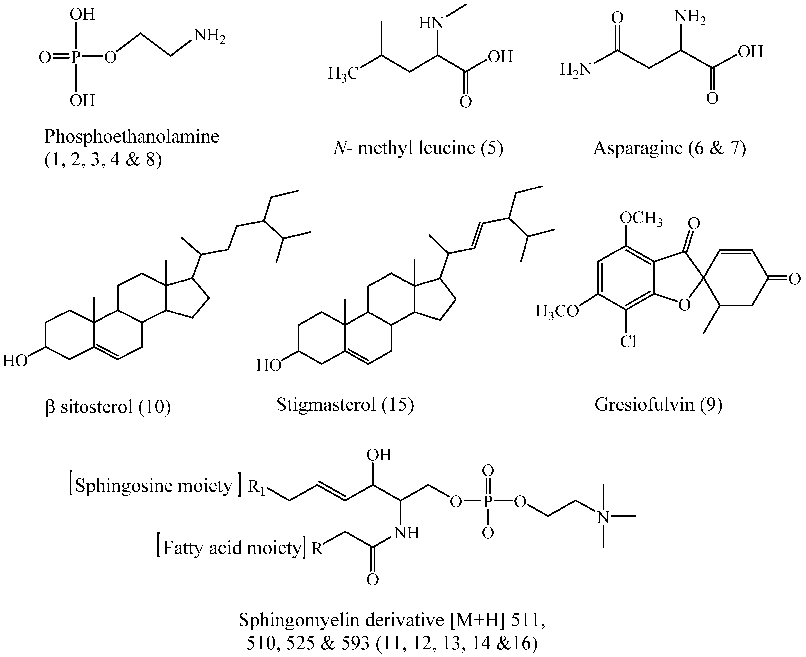 Molecules 28 01643 g006 Molecules 28 01643 g006