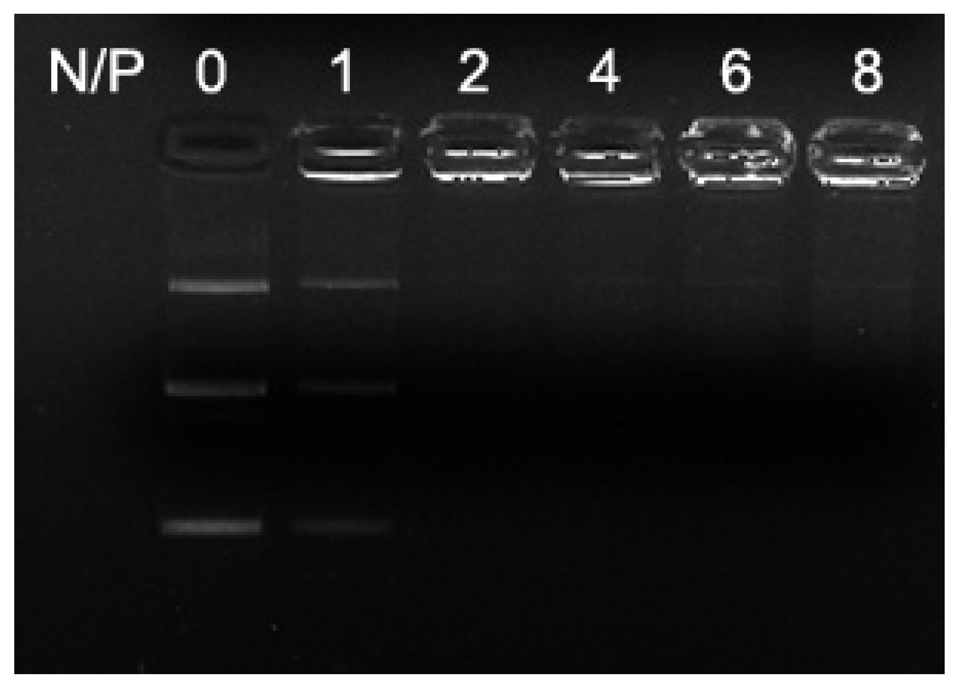 Molecules 28 01645 g002