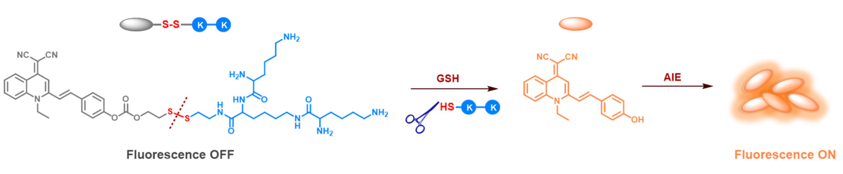 Molecules 28 01645 sch001