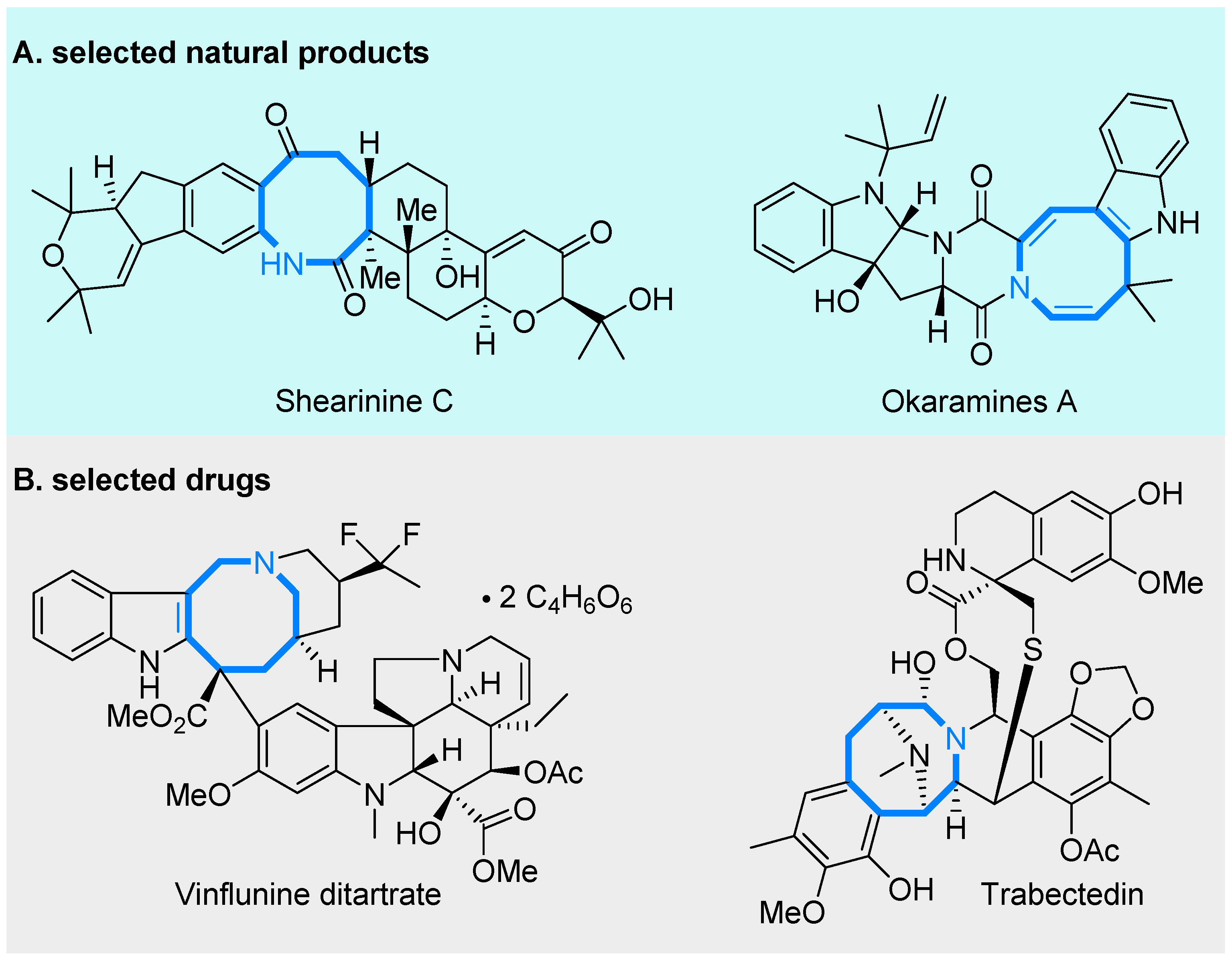 Molecules 28 01650 g001 Molecules 28 01650 g001