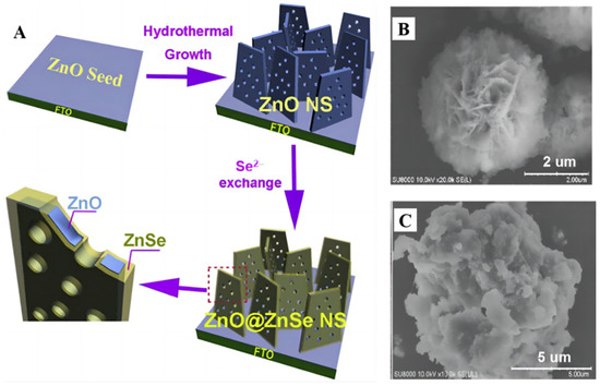 Polymer/Enzyme Composite Materials—Versatile Catalysts with