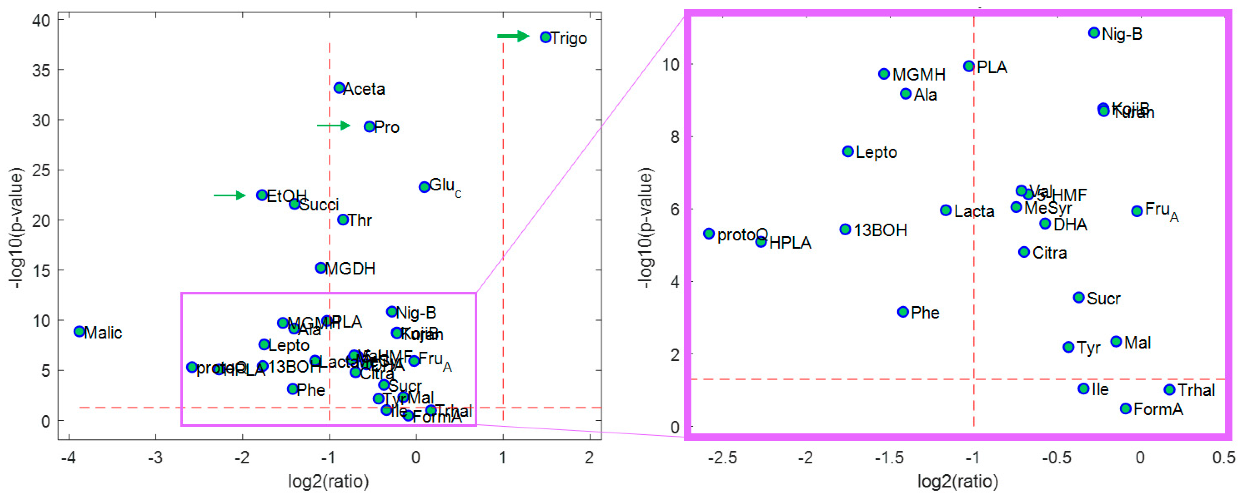 Molecules 28 01656 g006