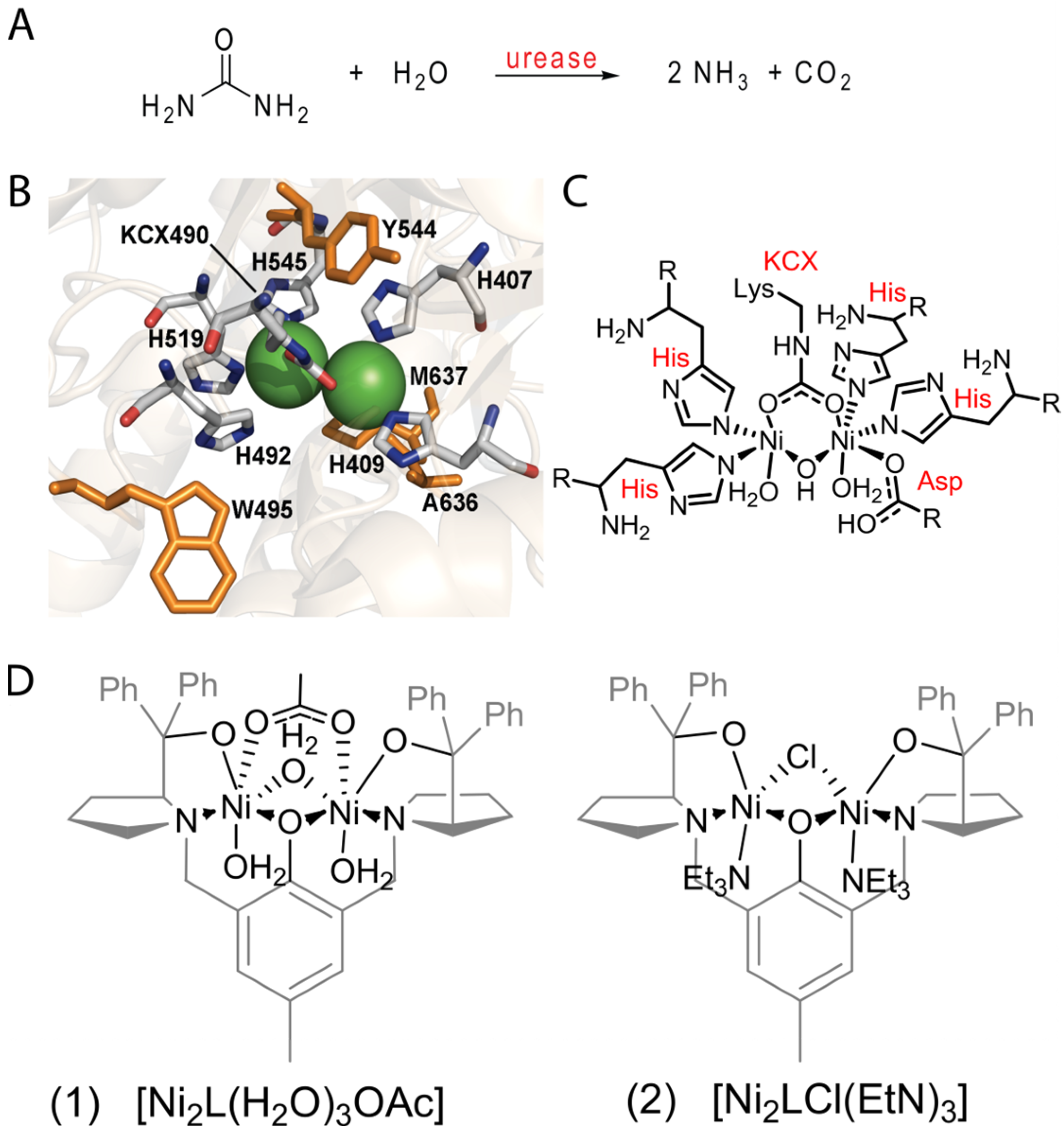 Molecules 28 01659 g001 550