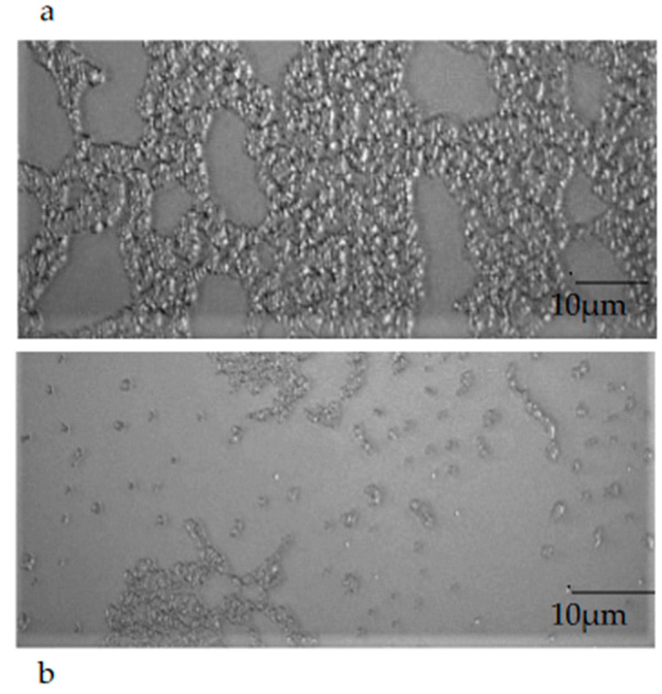 Molecules 28 01671 g008 Molecules 28 01671 g008