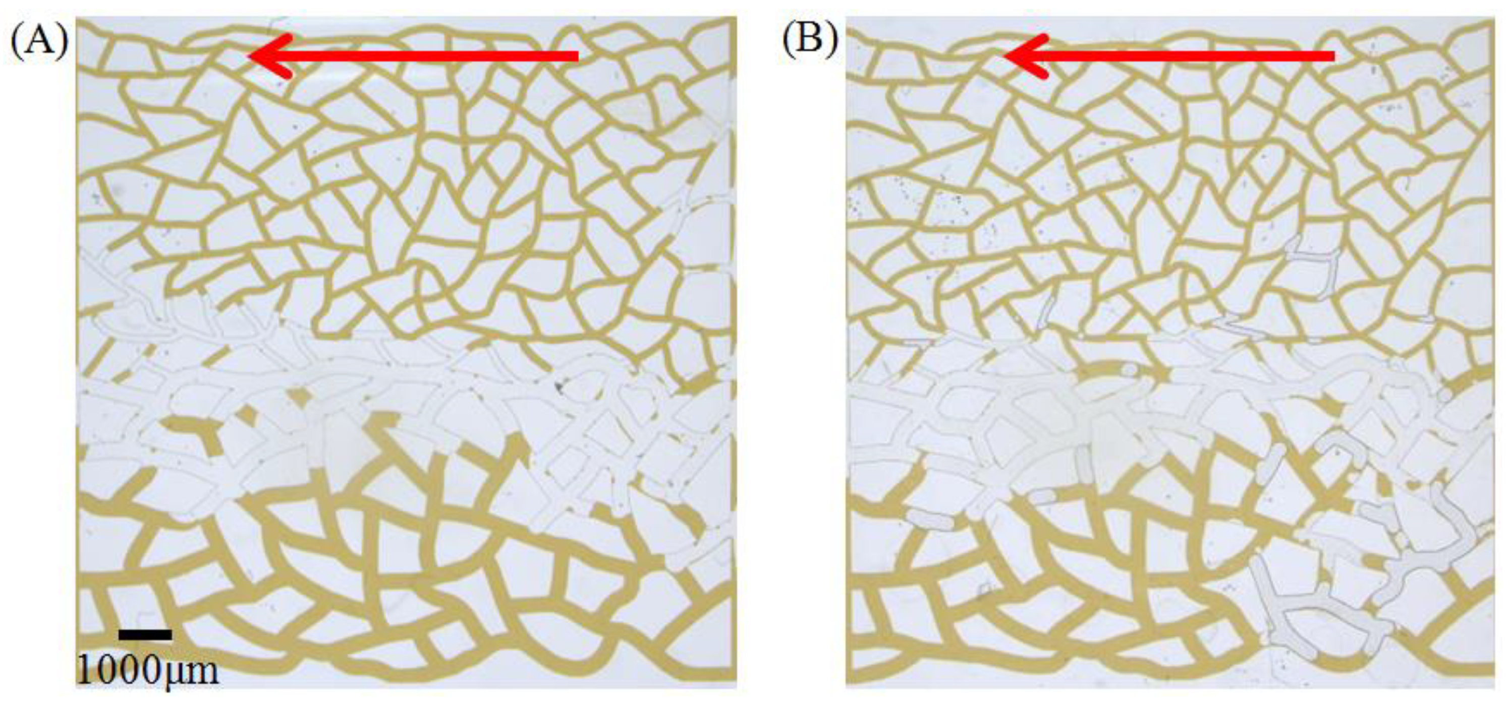 Molecules 28 01672 g006