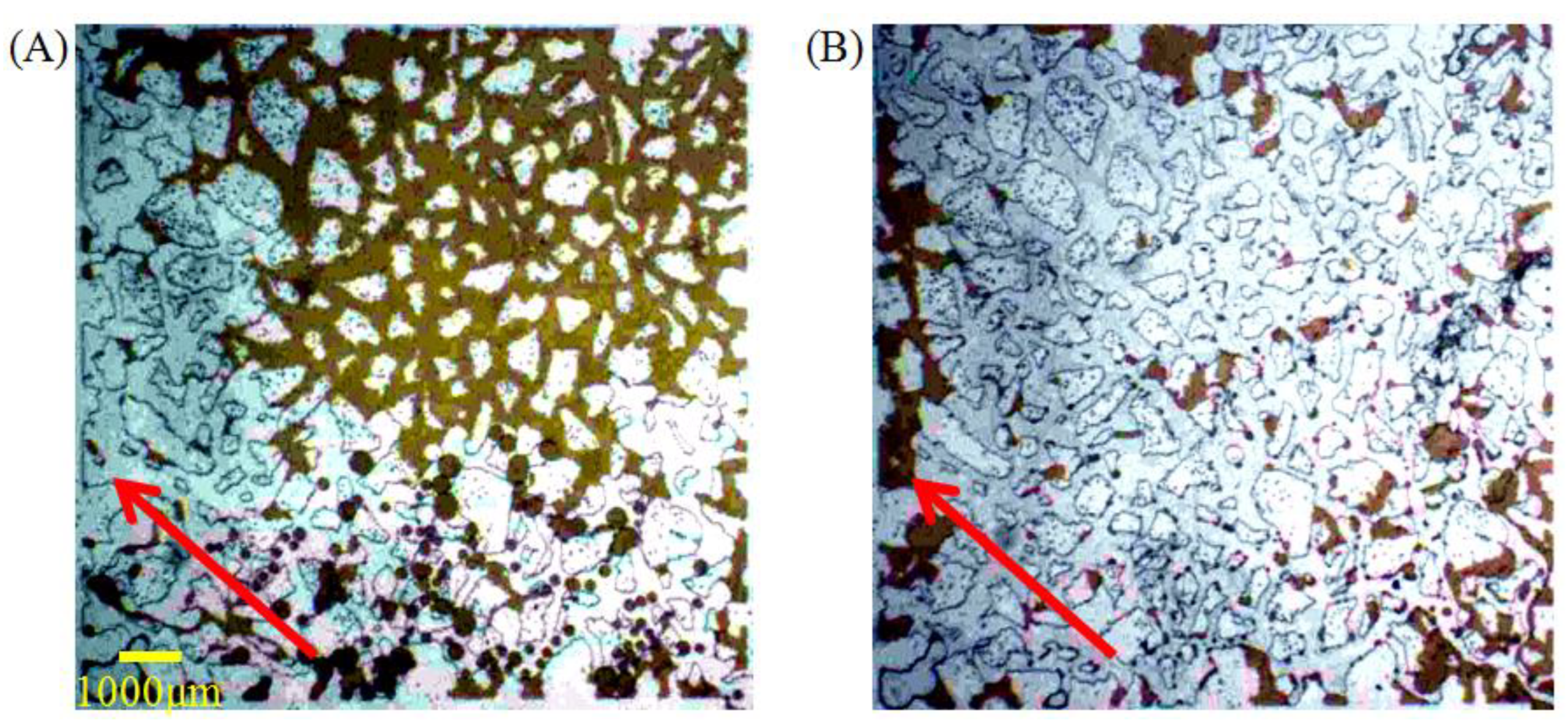Molecules 28 01672 g007