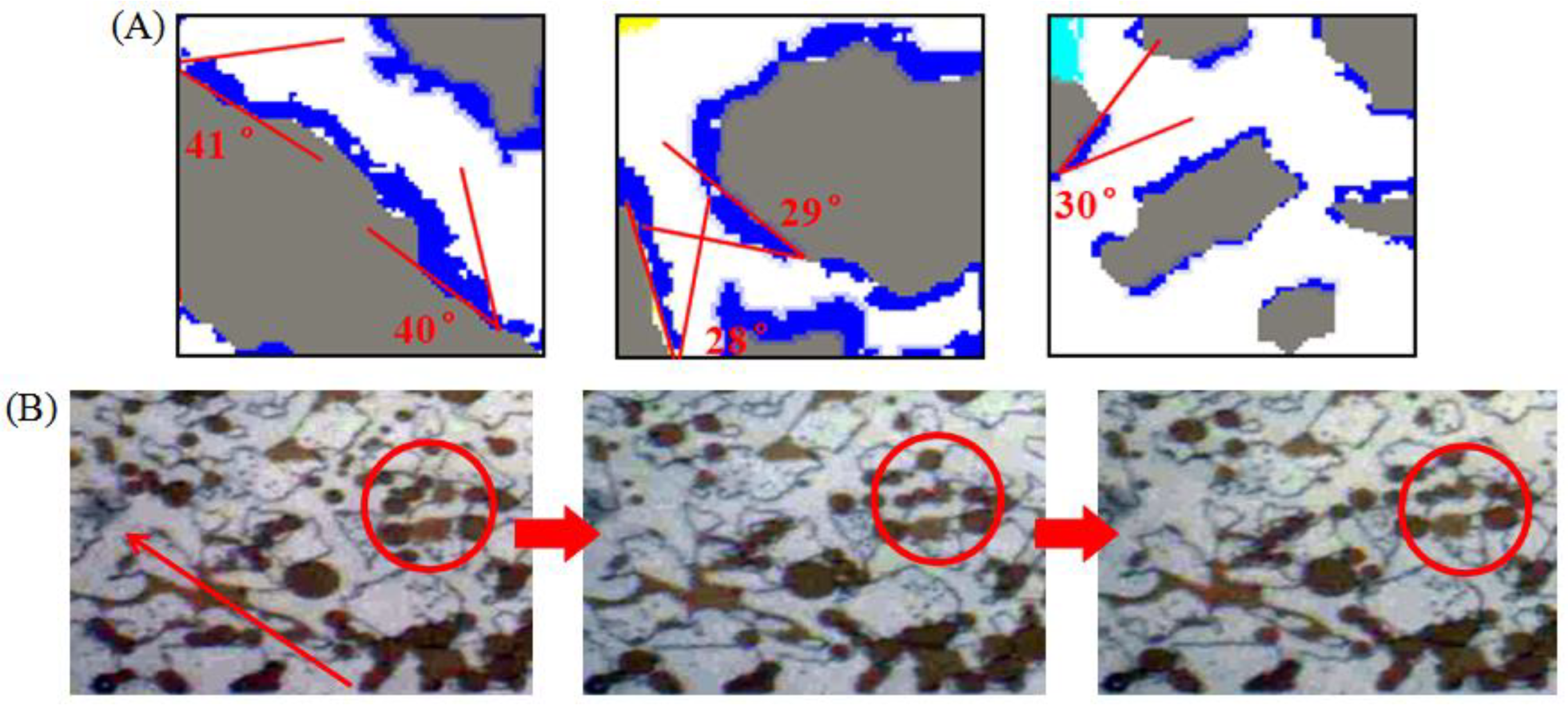 Molecules 28 01672 g009a