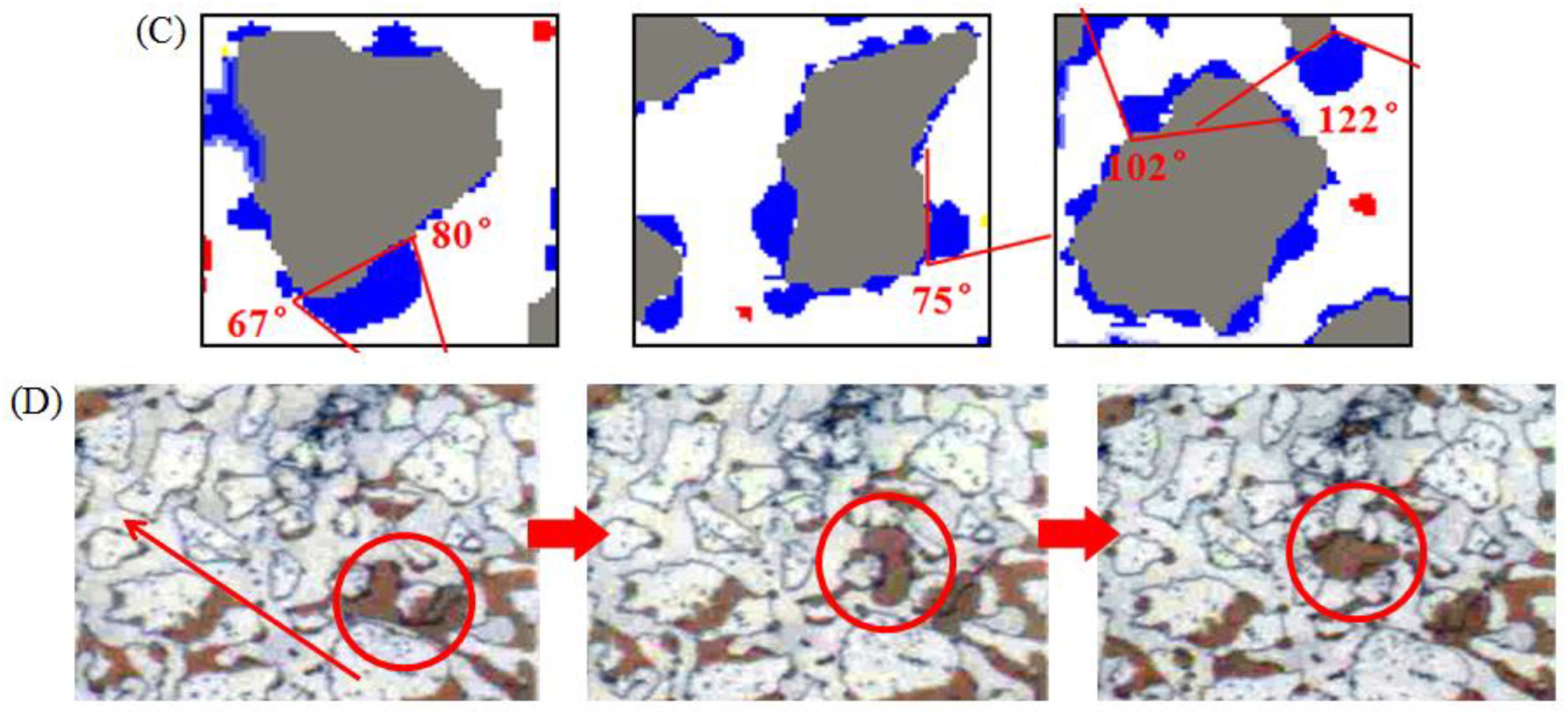 Molecules 28 01672 g009b