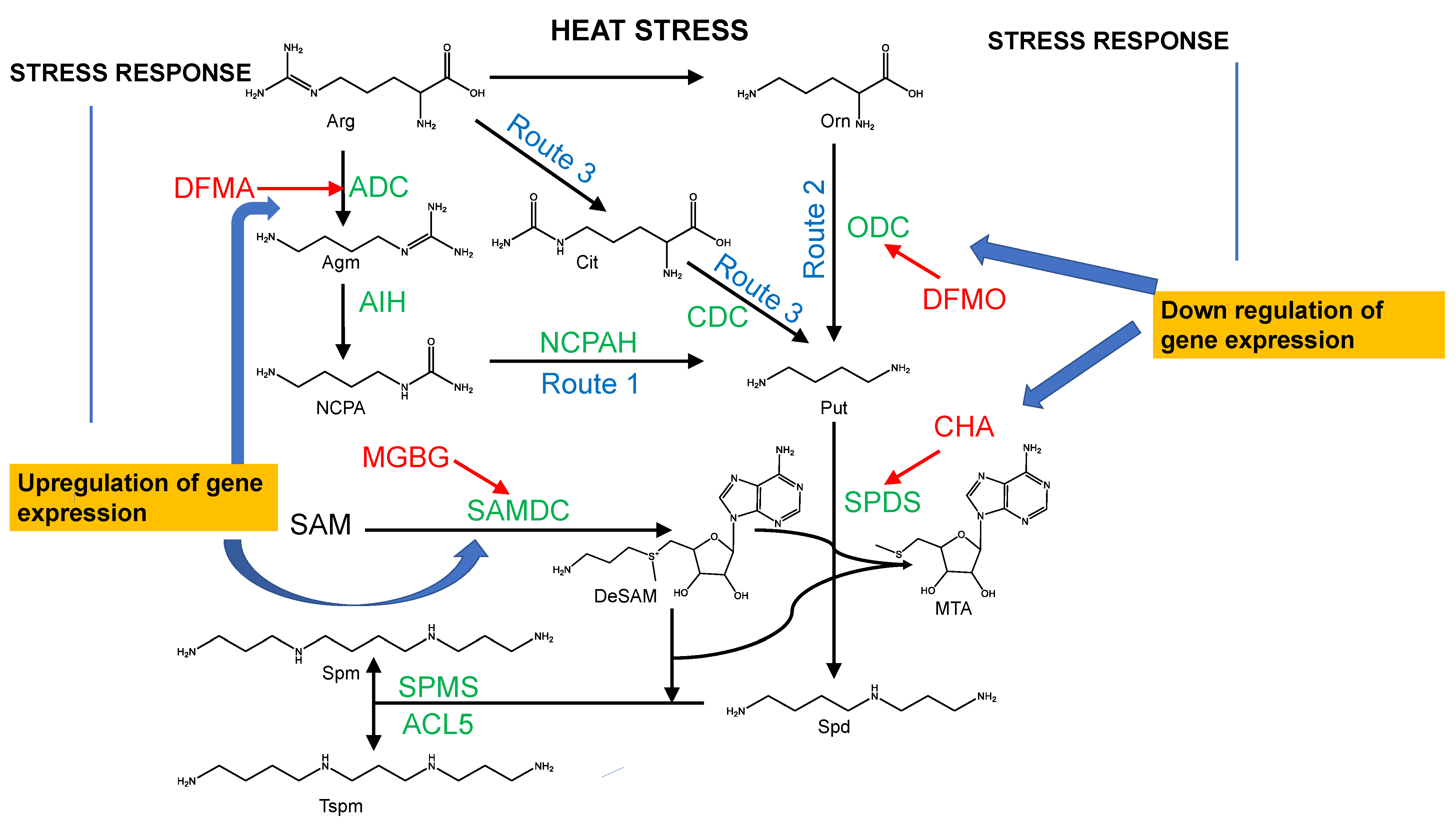 Molecules 28 01686 g003 Molecules 28 01686 g003