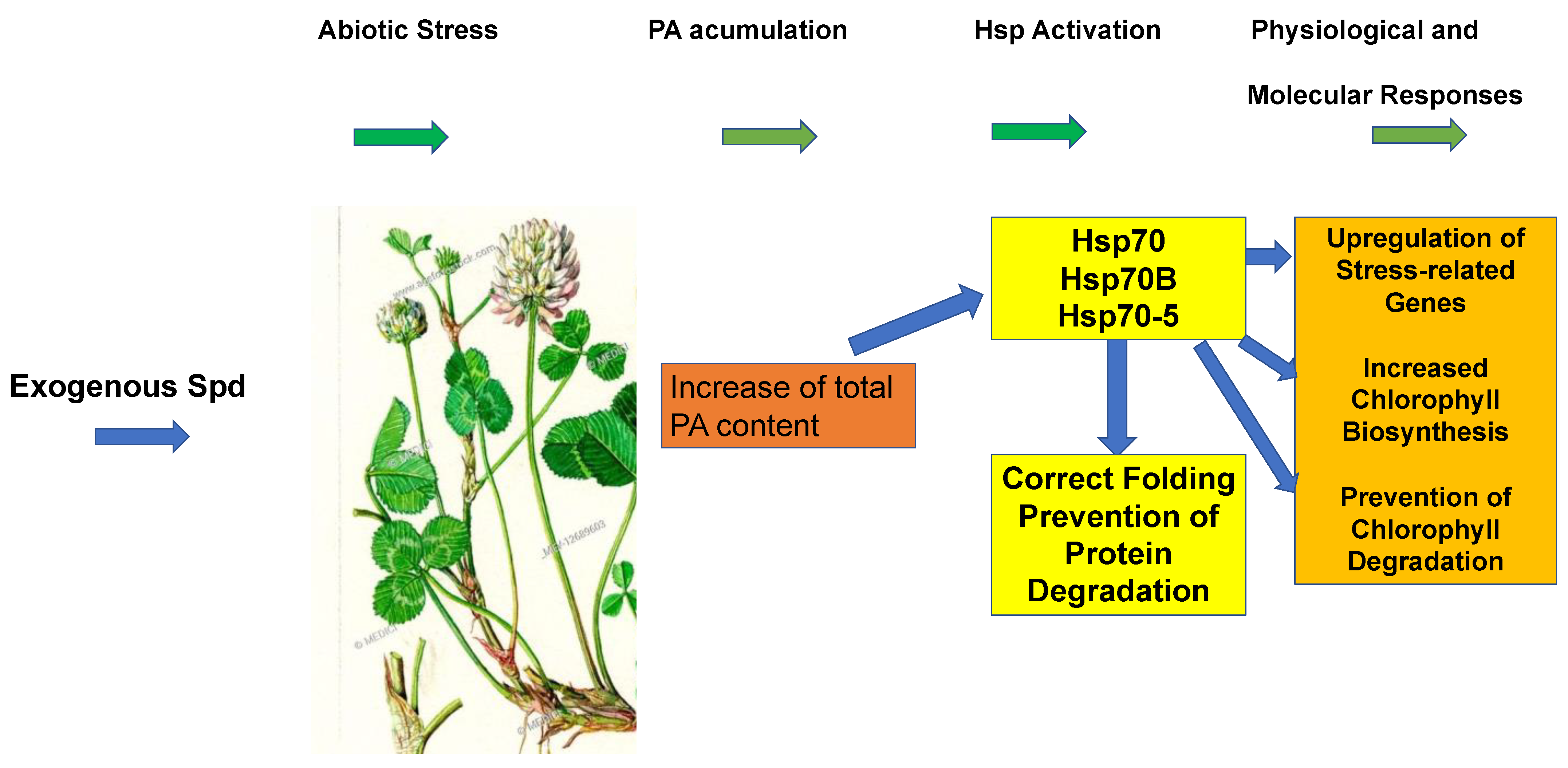 Molecules 28 01686 g004 Molecules 28 01686 g004