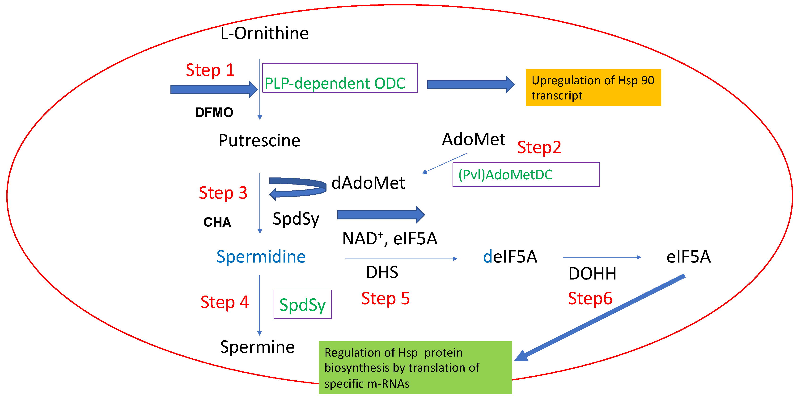Molecules 28 01686 g006 Molecules 28 01686 g006