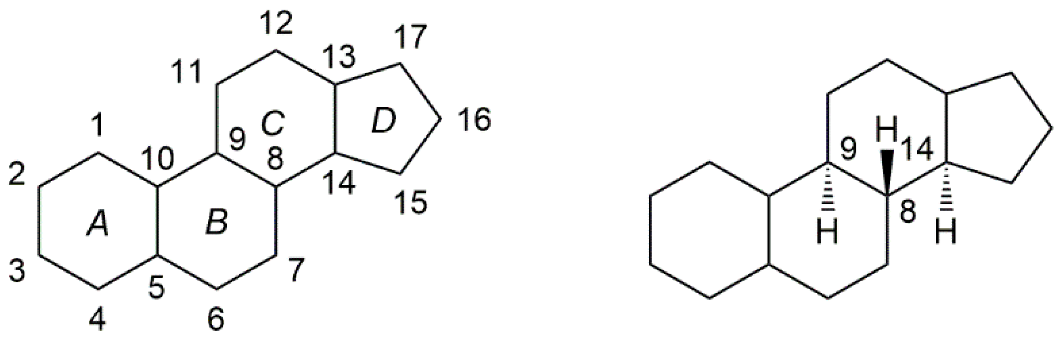 Molecules 28 01690 g001