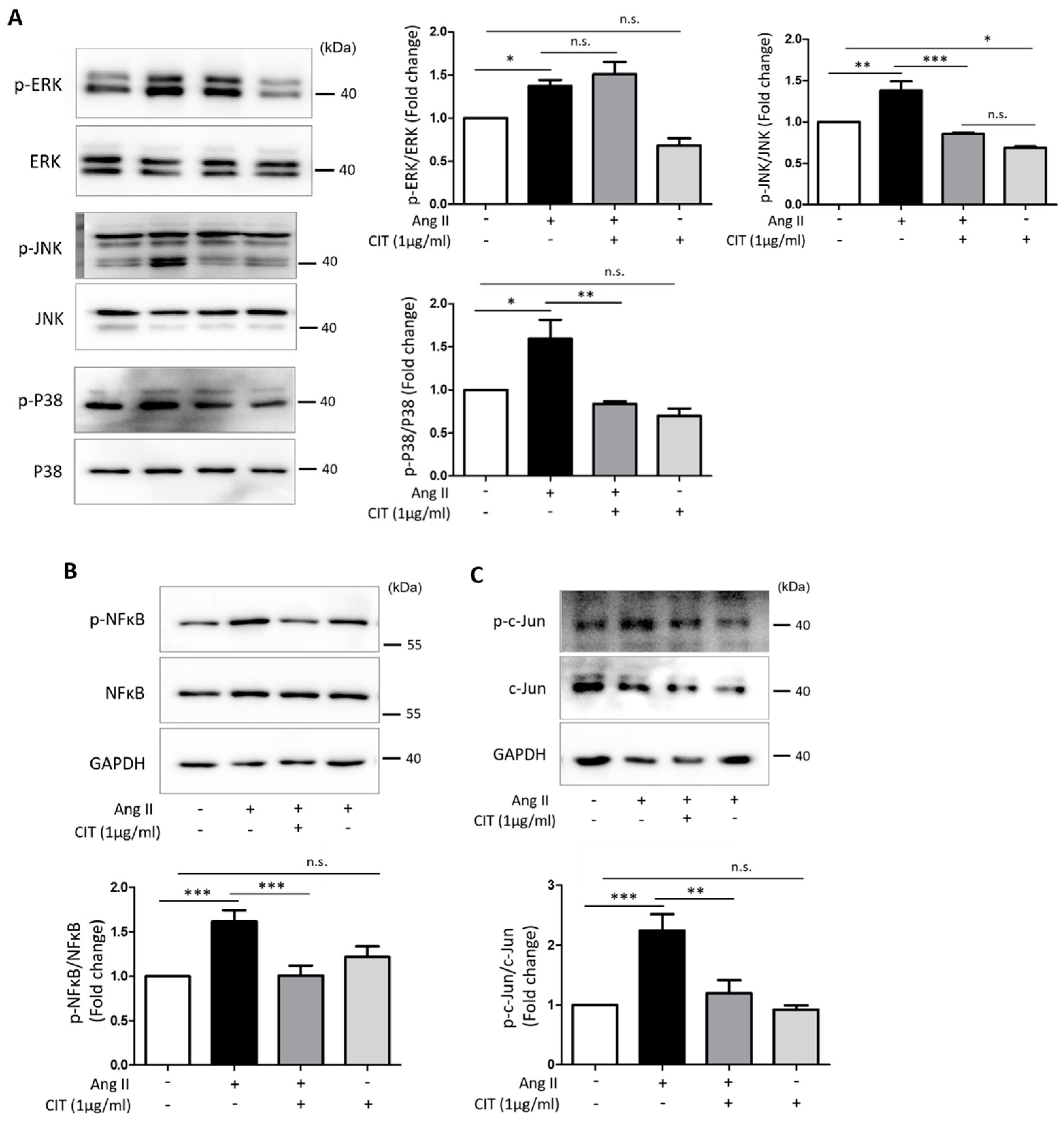 Molecules 28 01693 g007 Molecules 28 01693 g007