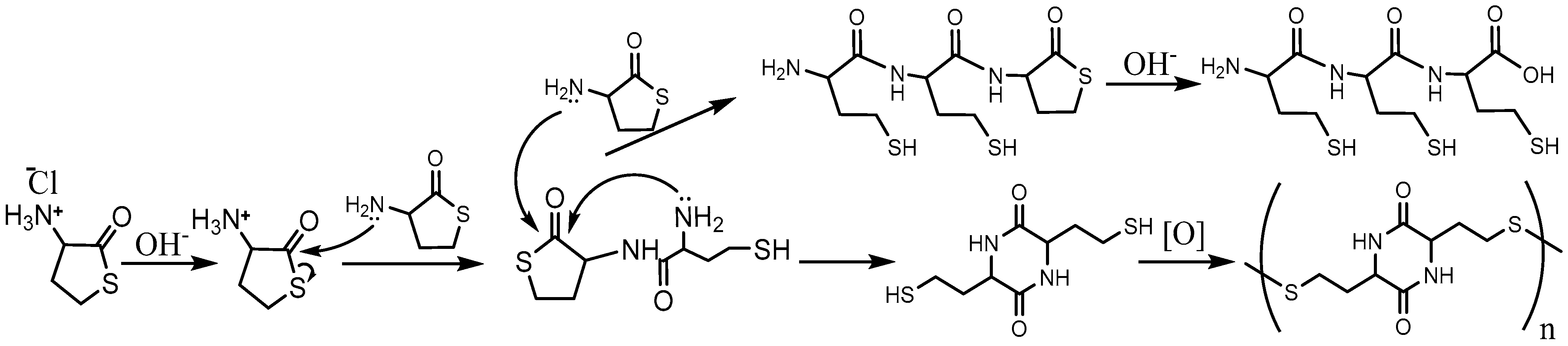 Molecules 28 01695 g002