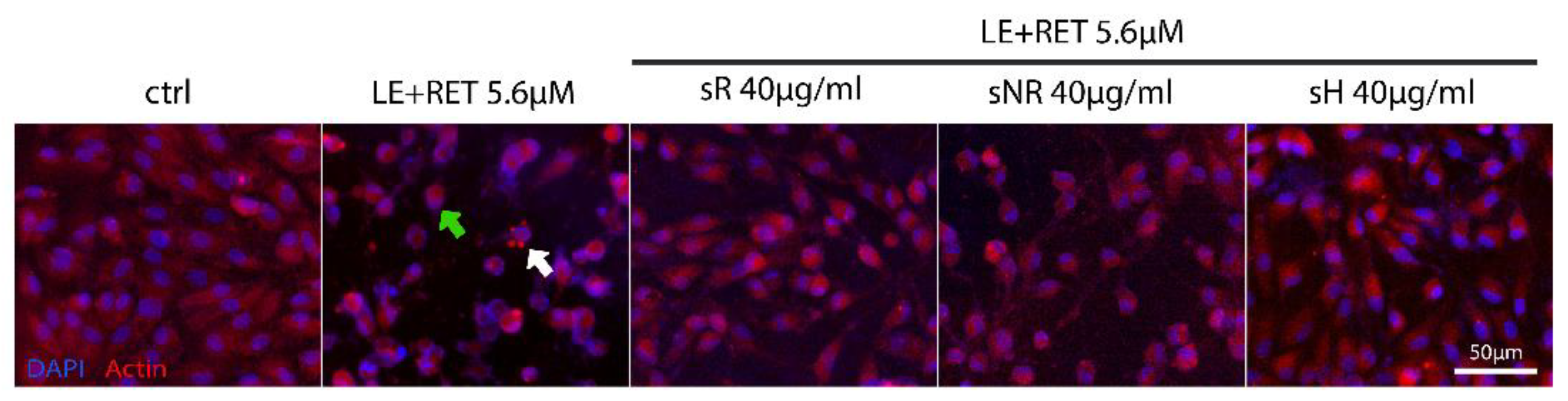 Molecules 28 01699 g004 Molecules 28 01699 g004