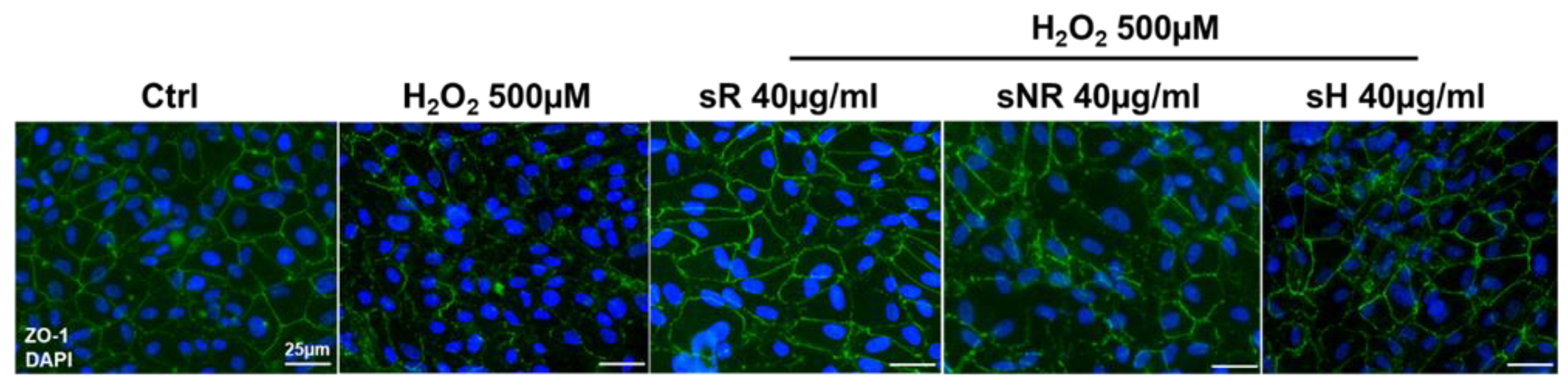 Molecules 28 01699 g006 Molecules 28 01699 g006