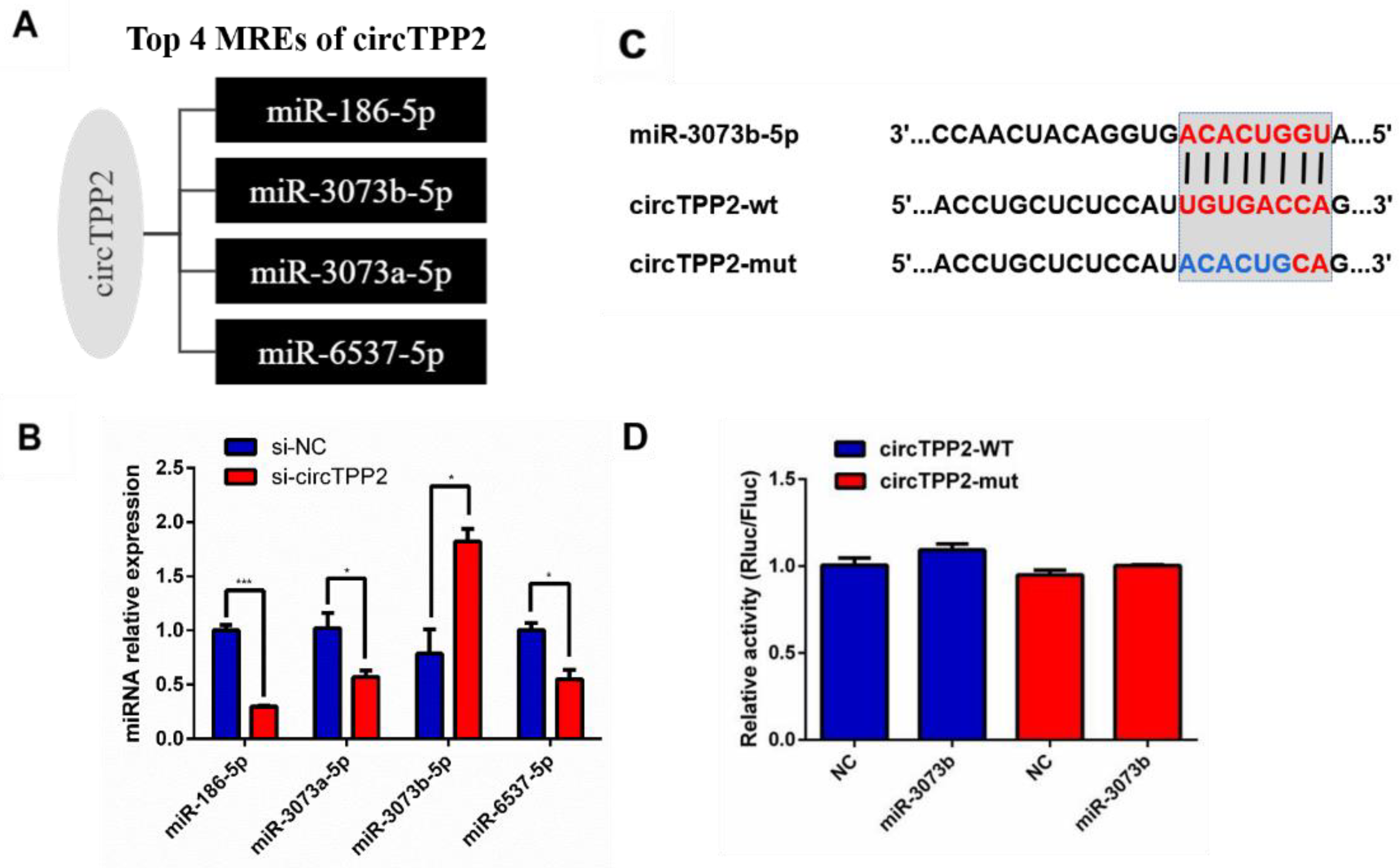 Molecules 28 01701 g006 Molecules 28 01701 g006