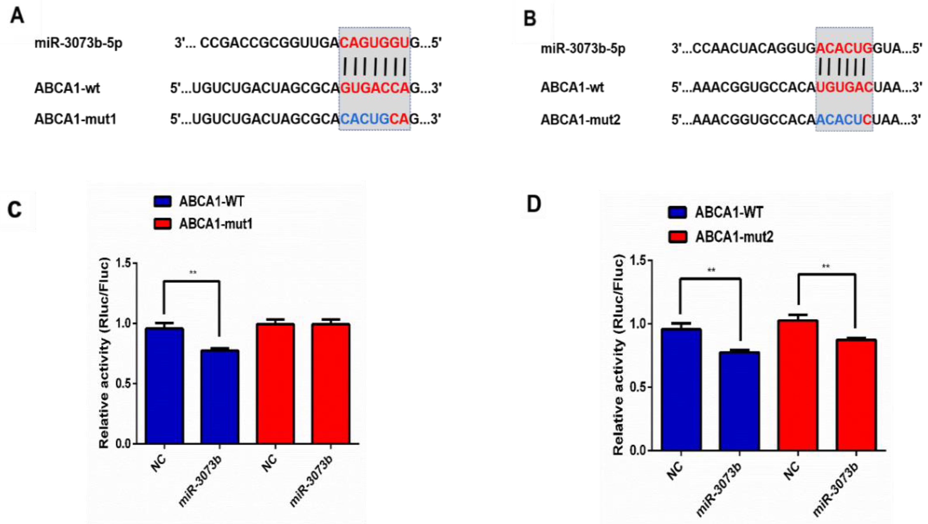 Molecules 28 01701 g007 Molecules 28 01701 g007