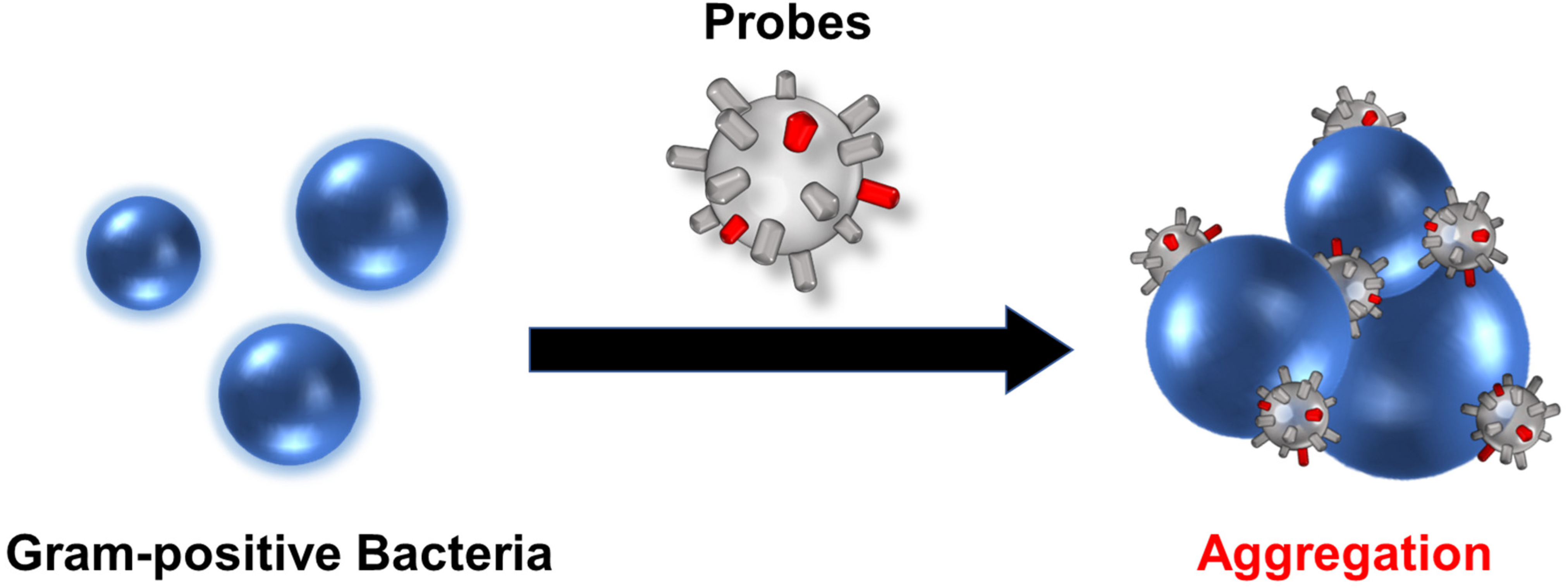 Molecules 28 01704 g001