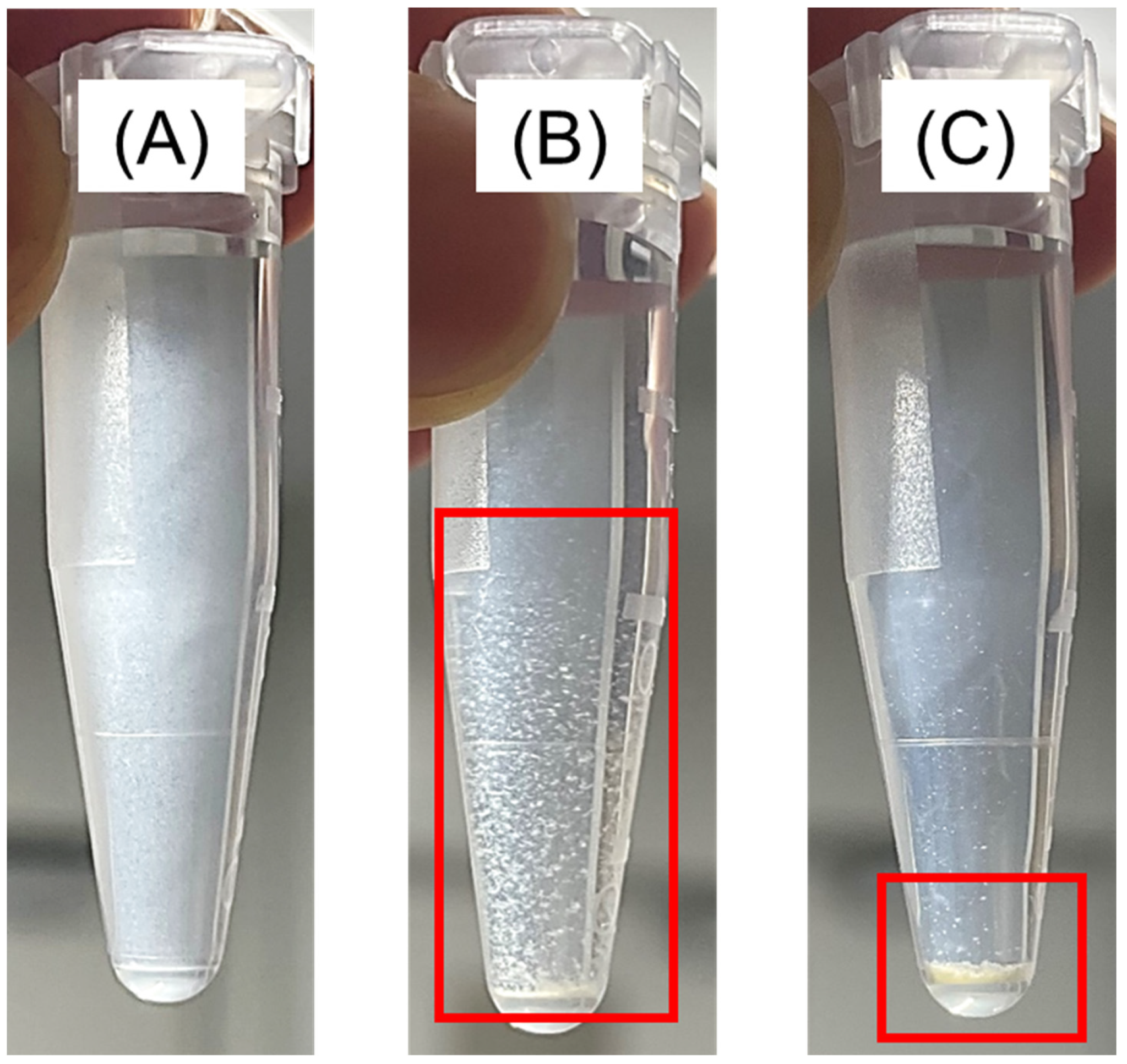 Molecules 28 01704 g005