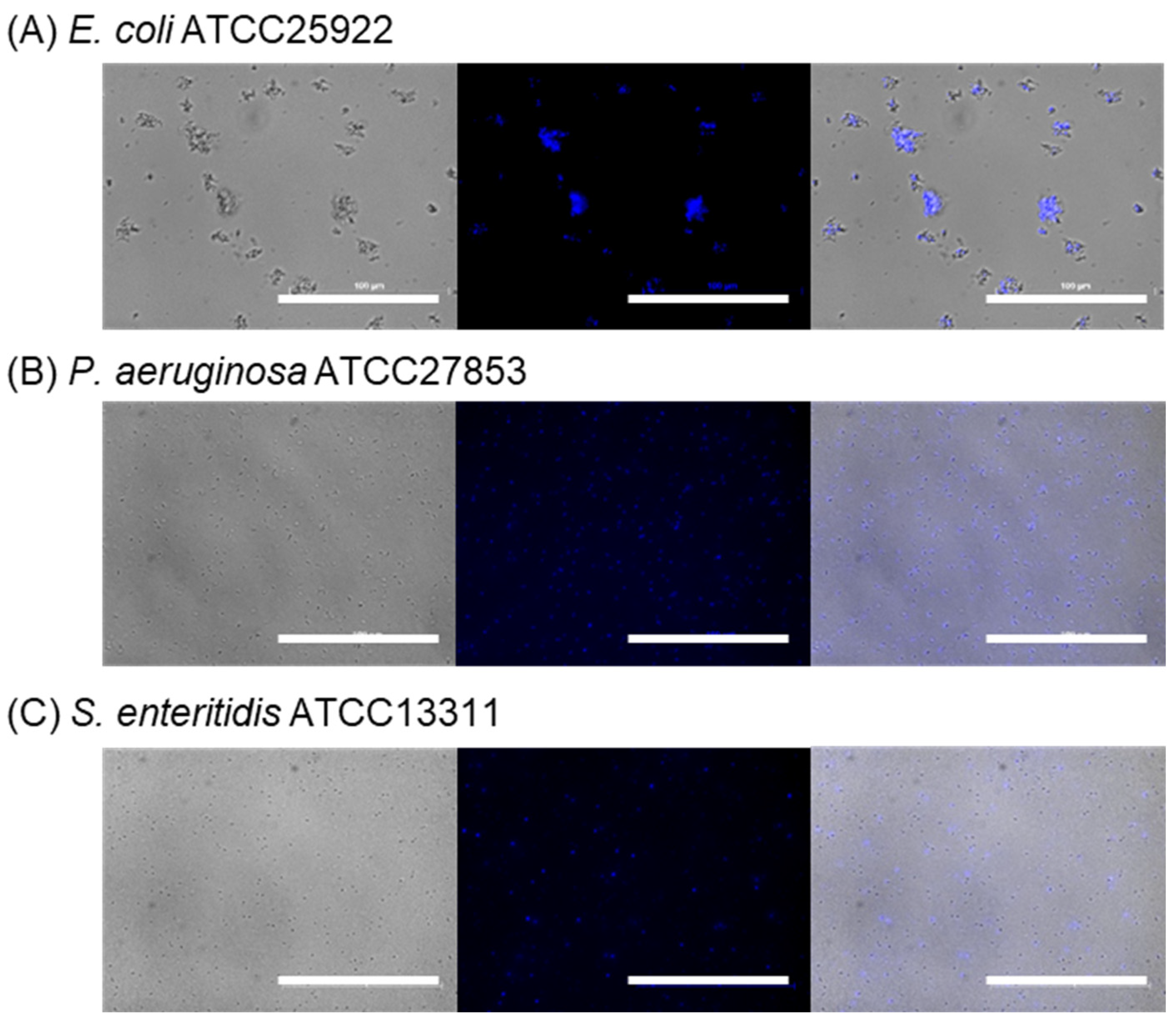 Molecules 28 01704 g010