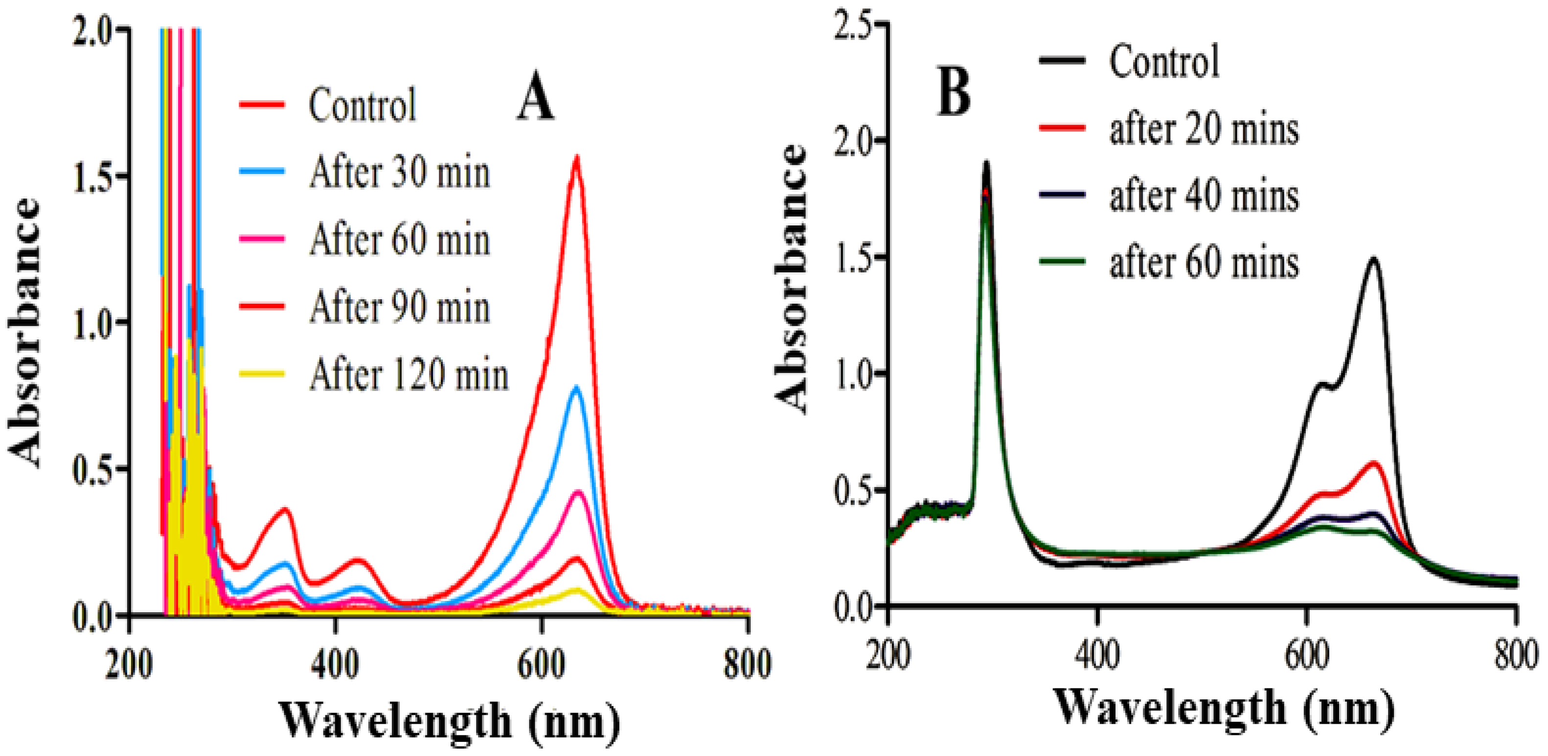 Molecules 28 01705 g005 550