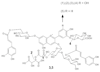 Molecules 28 01709 i004