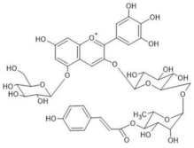 Molecules 28 01709 i023