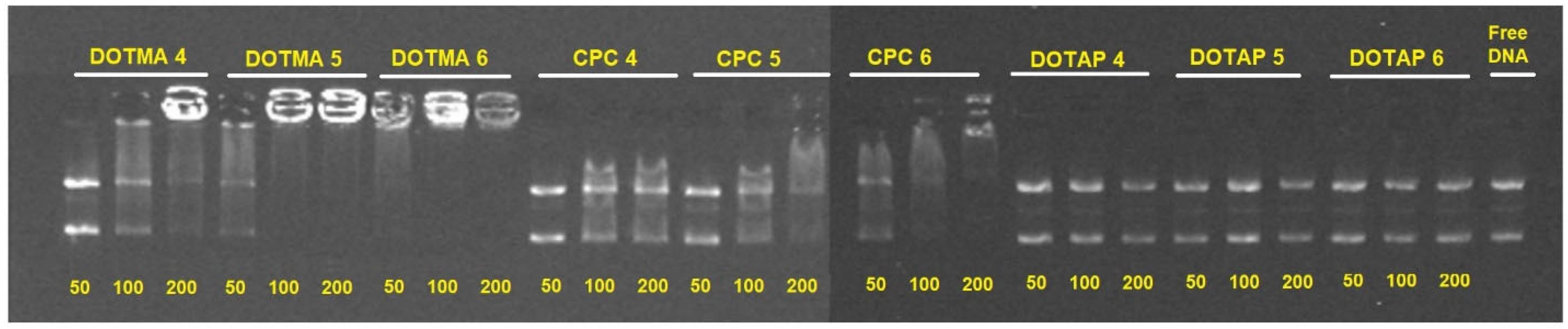 Molecules 28 01711 g004