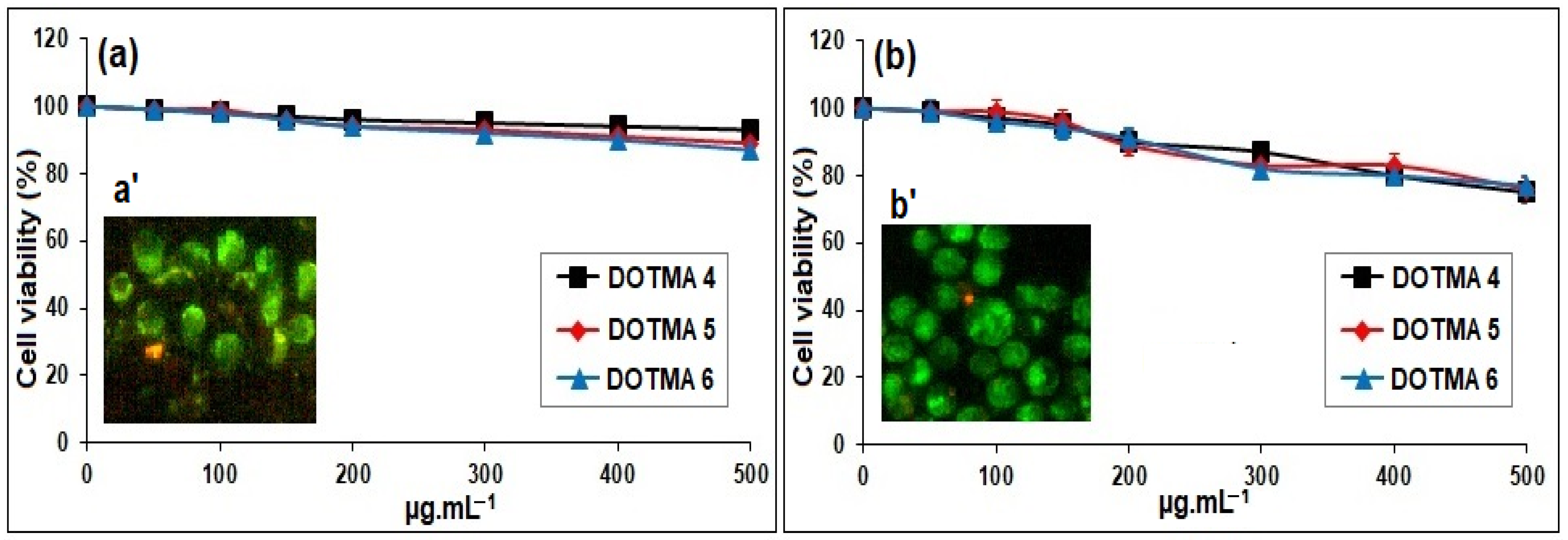 Molecules 28 01711 g006