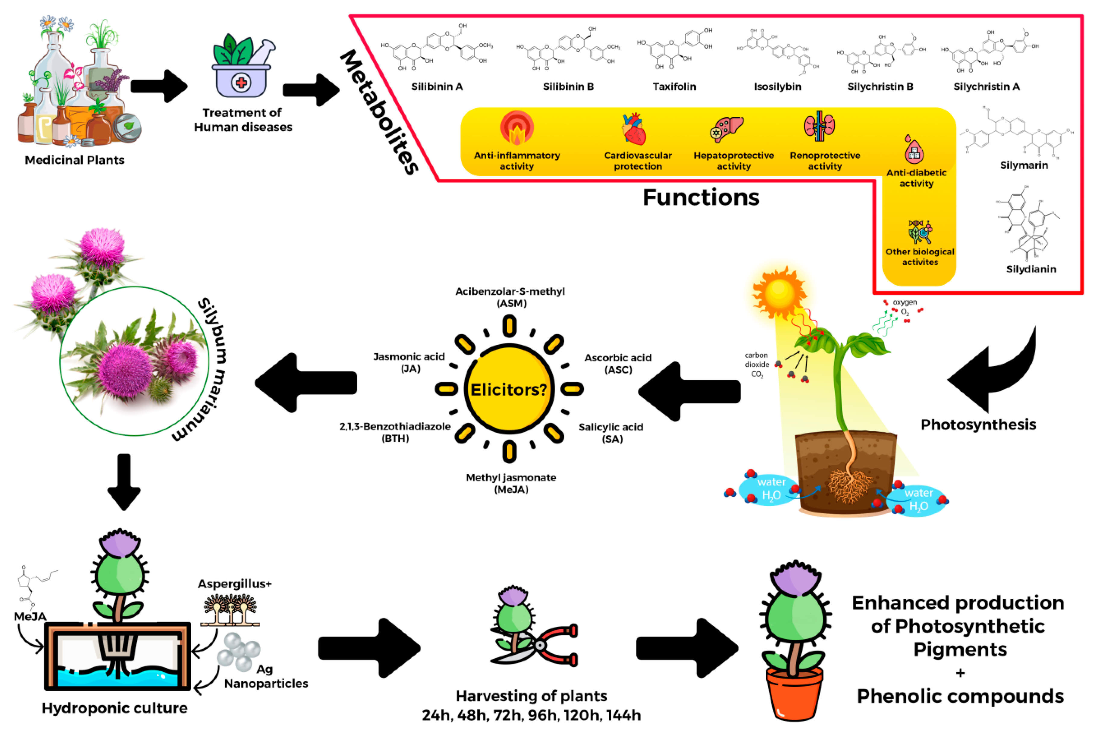 Molecules 28 01716 g006 Molecules 28 01716 g006