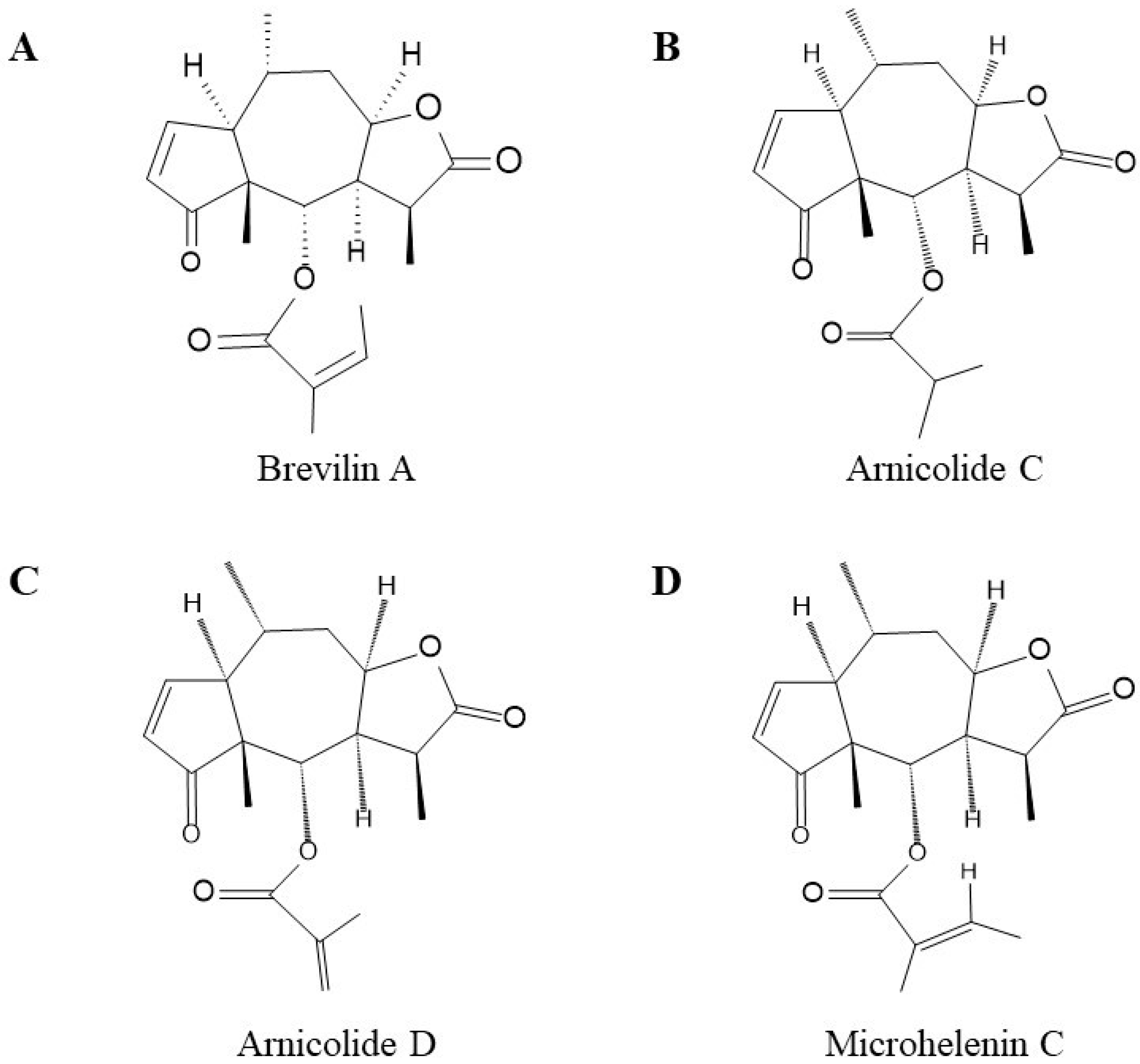 Molecules 28 01723 g001 Molecules 28 01723 g001